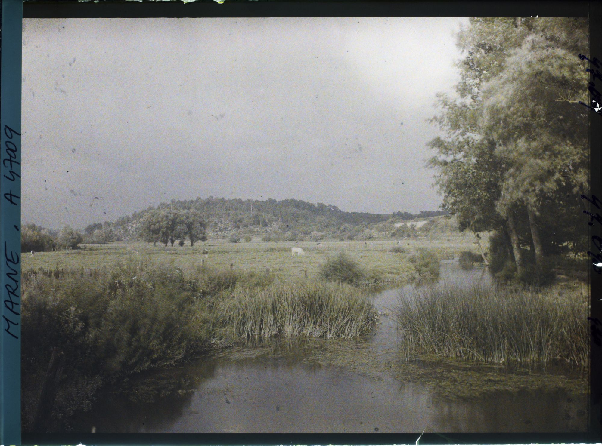 Image représentant France, Vienne la Ville Marne (340 h), Vue de la vallée de l'Aisne à Vienne la Ville