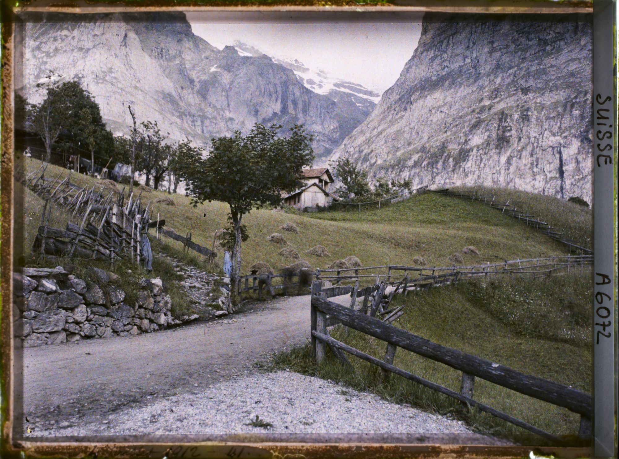 Image représentant Une route à Grindelwald devant le Wetterhorn