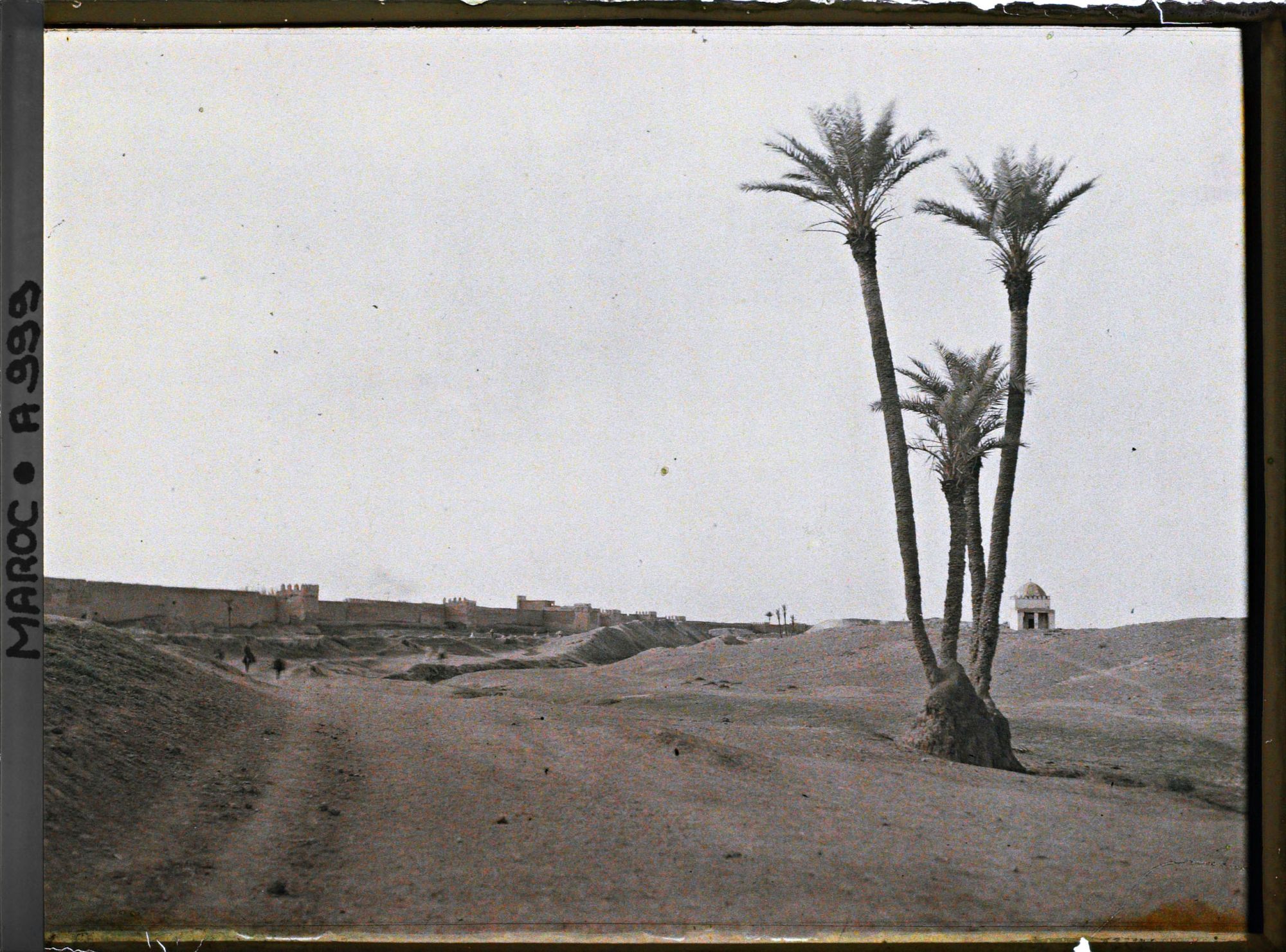 Image représentant Les remparts de la ville vus depuis la palmeraie