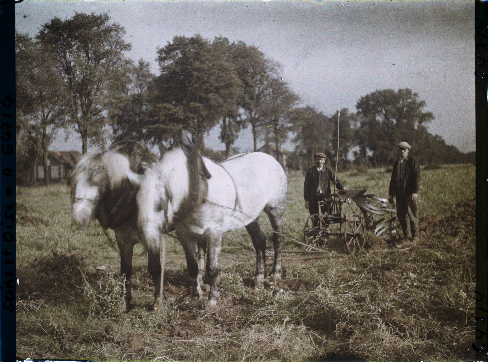 Image représentant Ile de France, Mafliers, Charrue attelée pour l'arrachage des pommes de terres