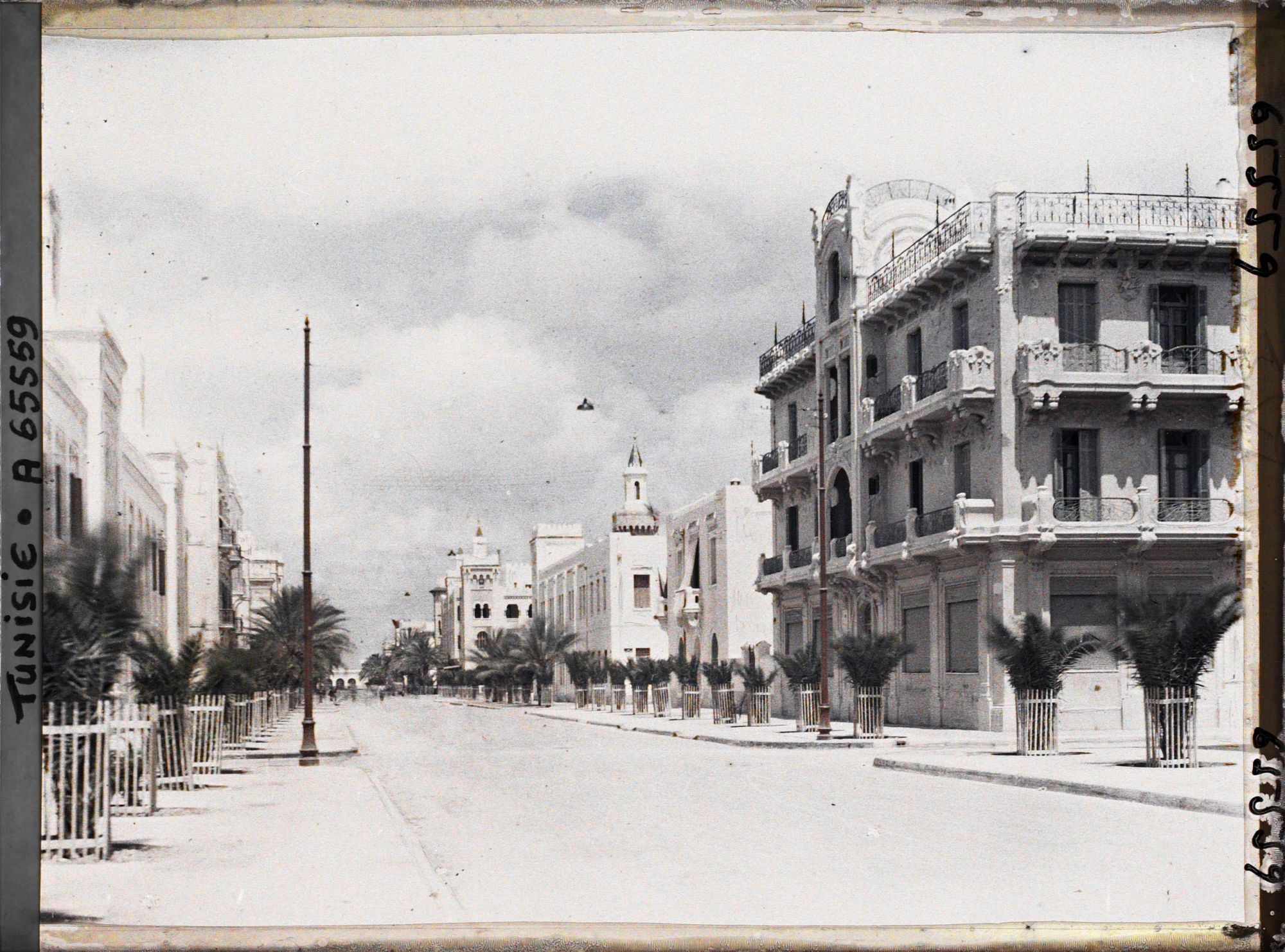 Image représentant L'avenue Jules Gau