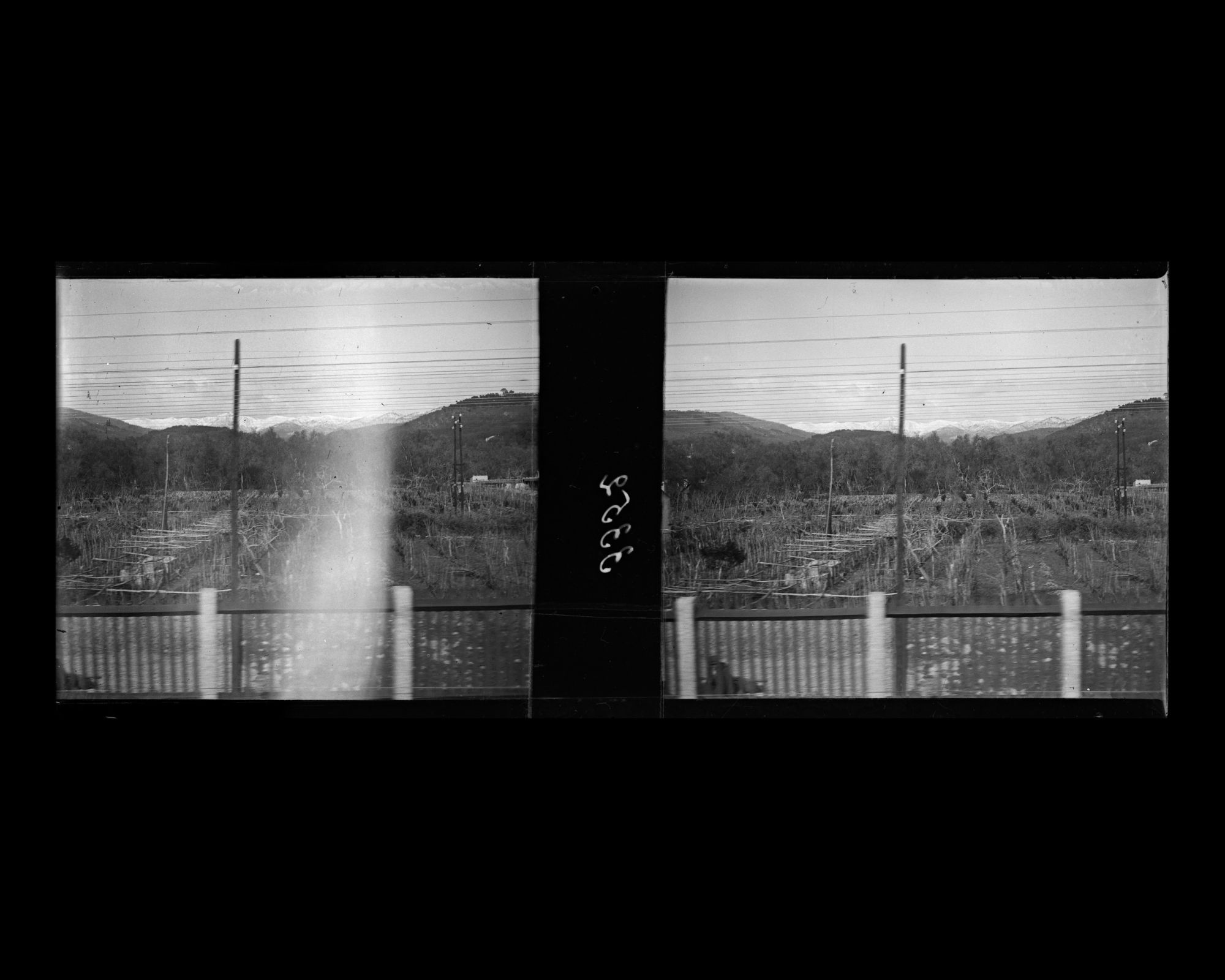 Image représentant Paysage des environs d'Albenga vu du train