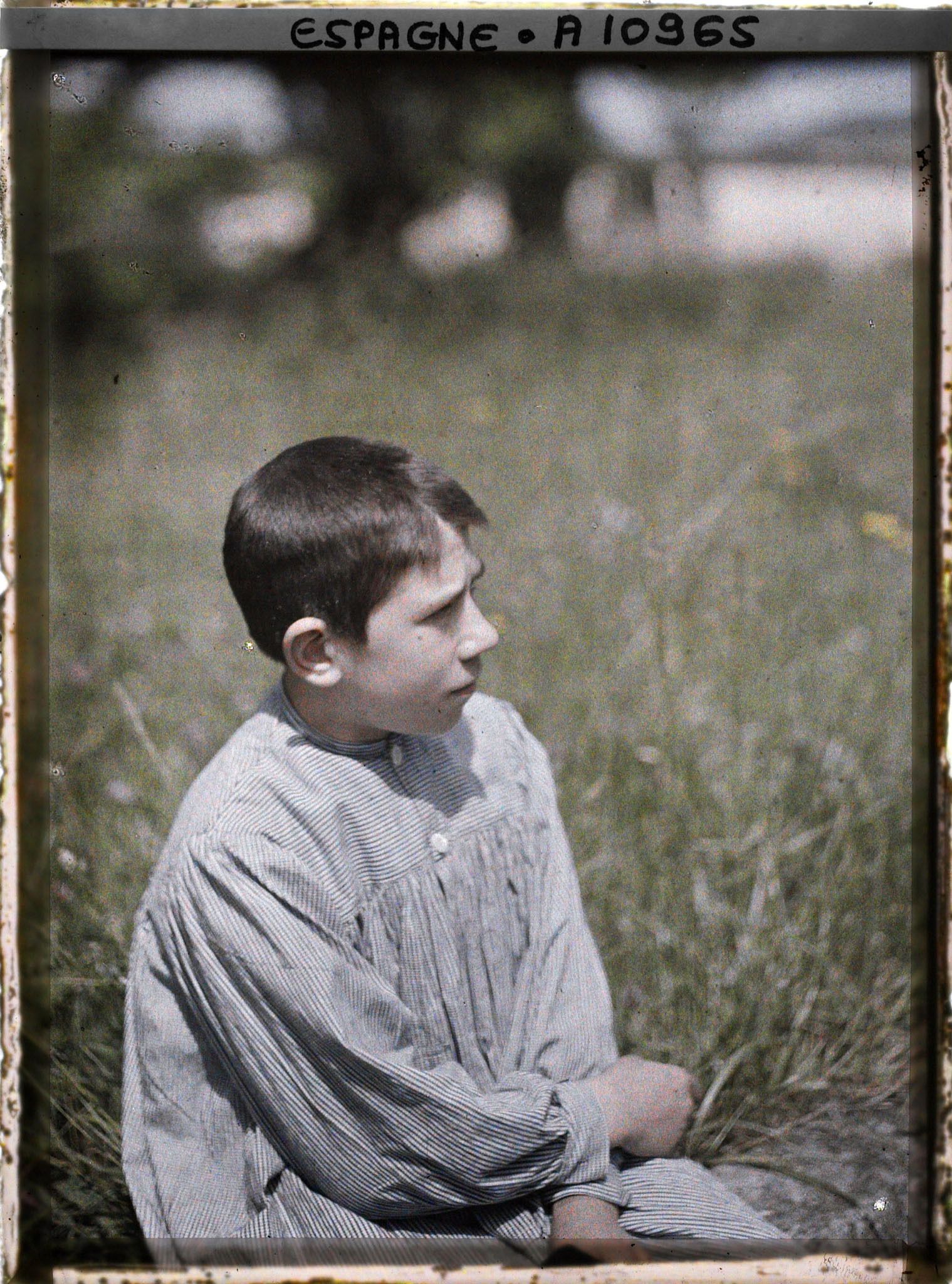 Image représentant Espagne, Bilbao, Crâne Dolichocéphale du Brun- Jeune Basque