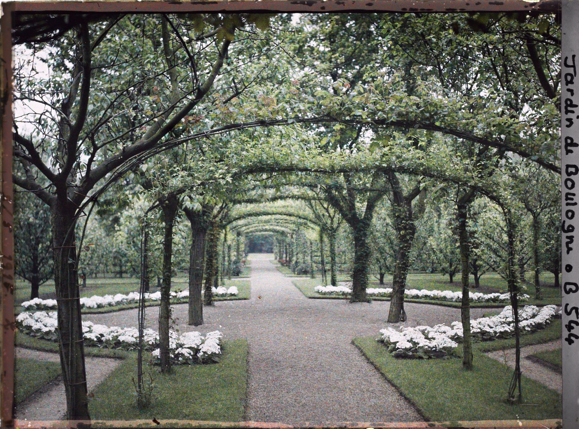 Image représentant Axe central du verger-roseraie photographié non loin de la dépendance, en direction du jardin anglais