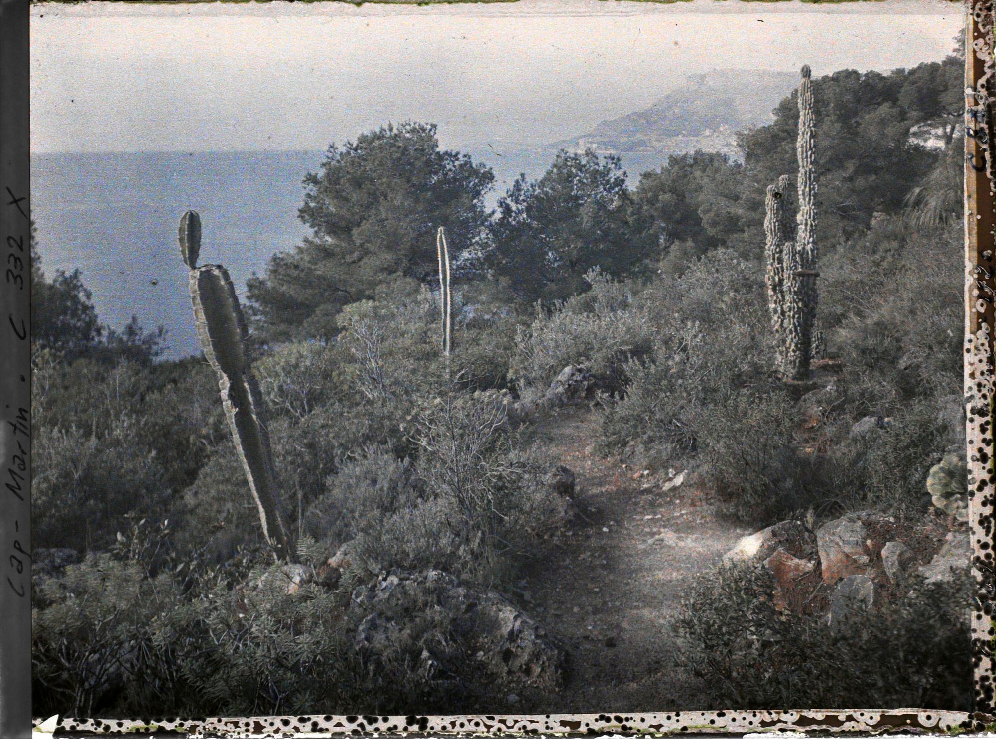 Image représentant Cap Martin Le Jardin