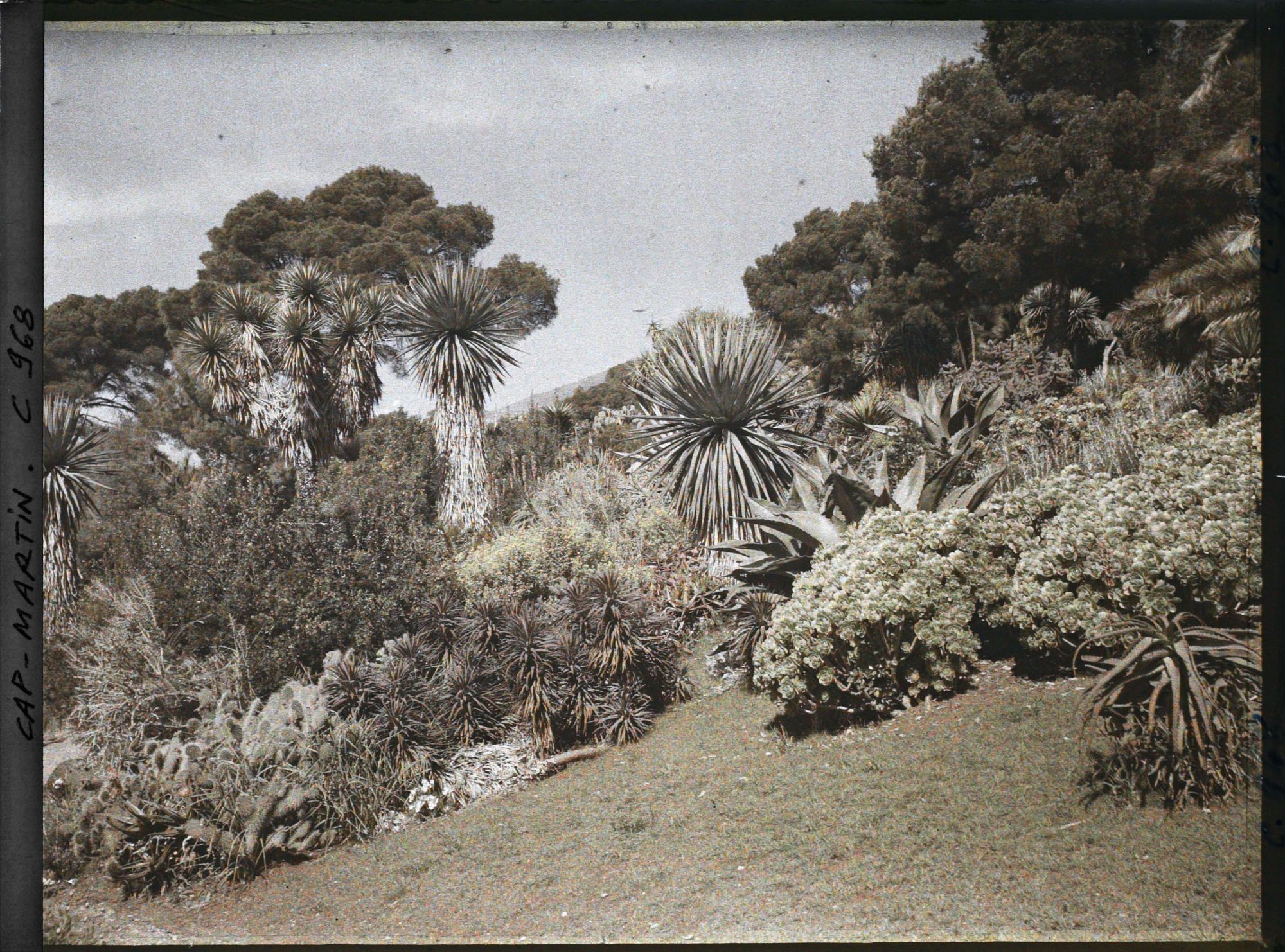 Image représentant Le Jardin