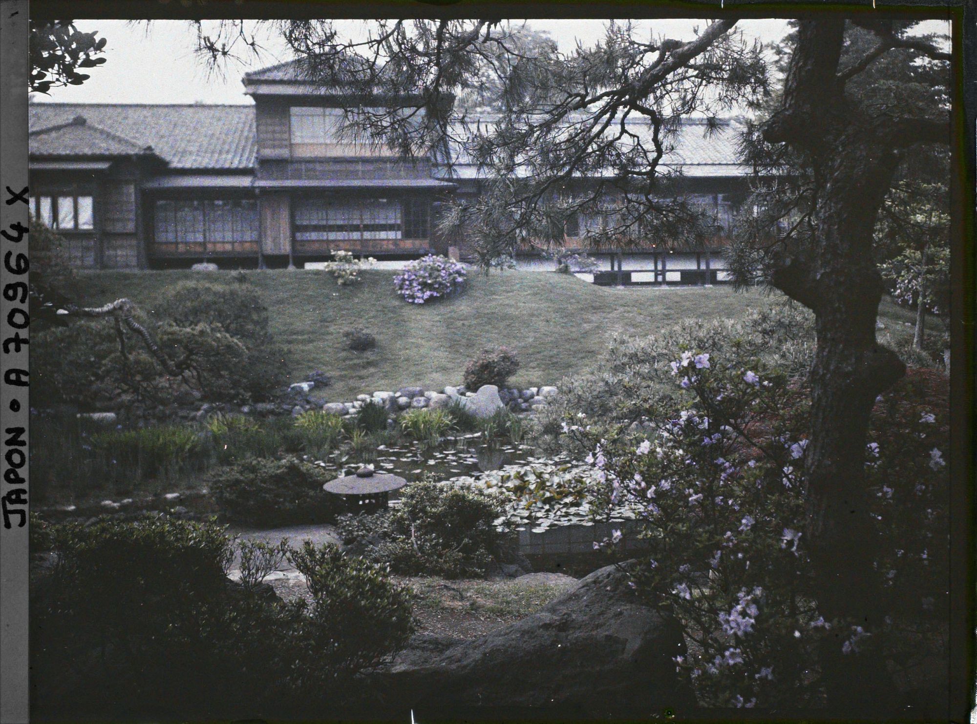 Image représentant Jardin d'une résidence