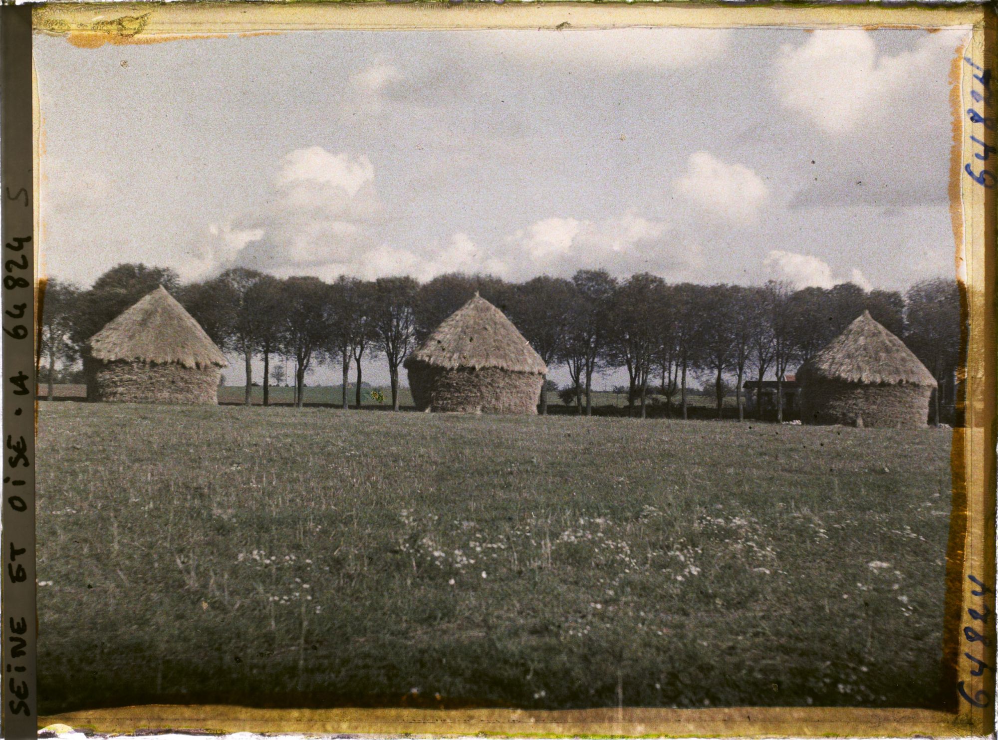 Image représentant Seine et Oise, Moisselles, Groupe de meules de blé en bordure d'une allée d'arbres