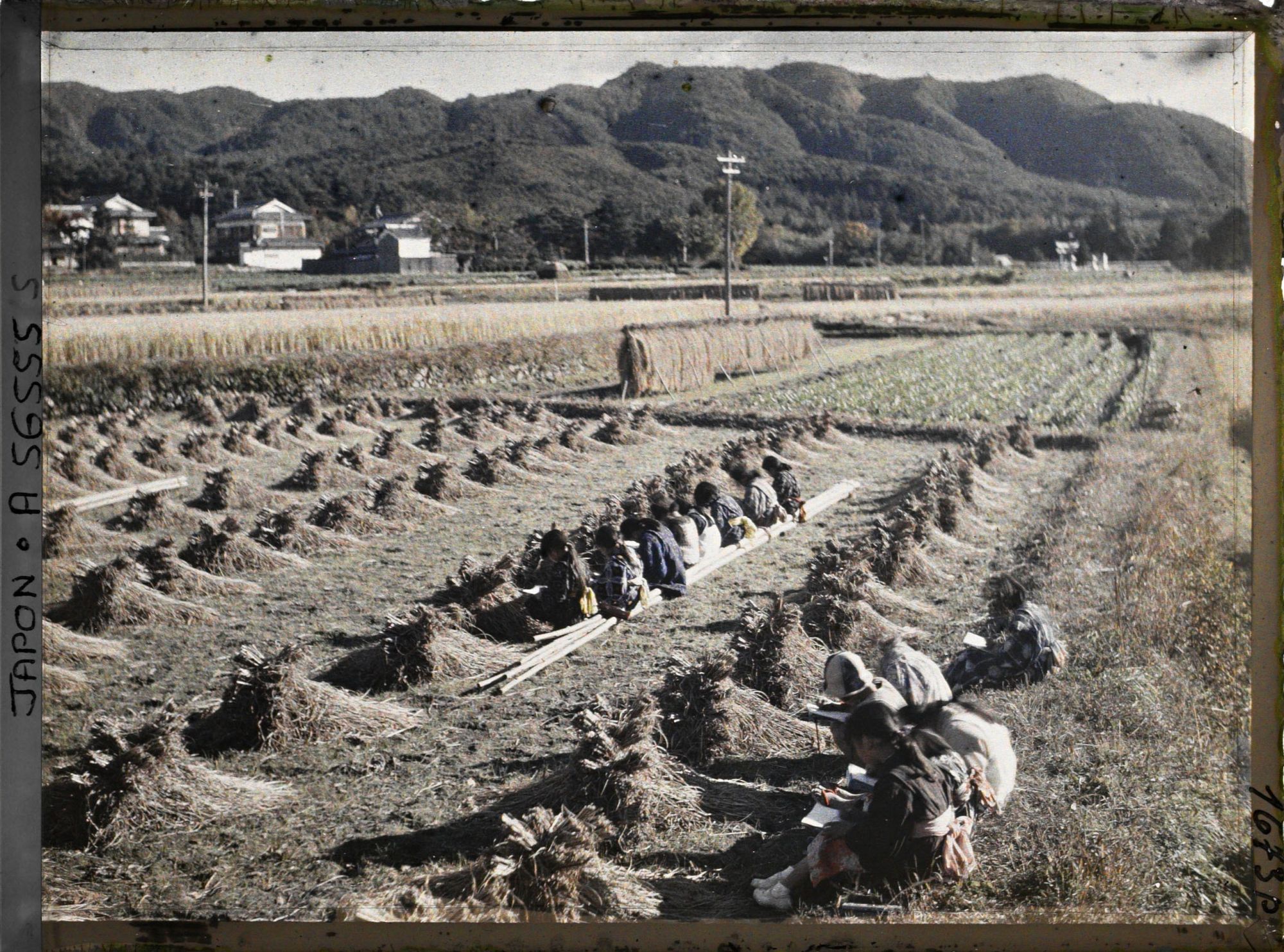 Image représentant Ecolières à l'étude du dessin d'après nature dans une rizière après la moisson