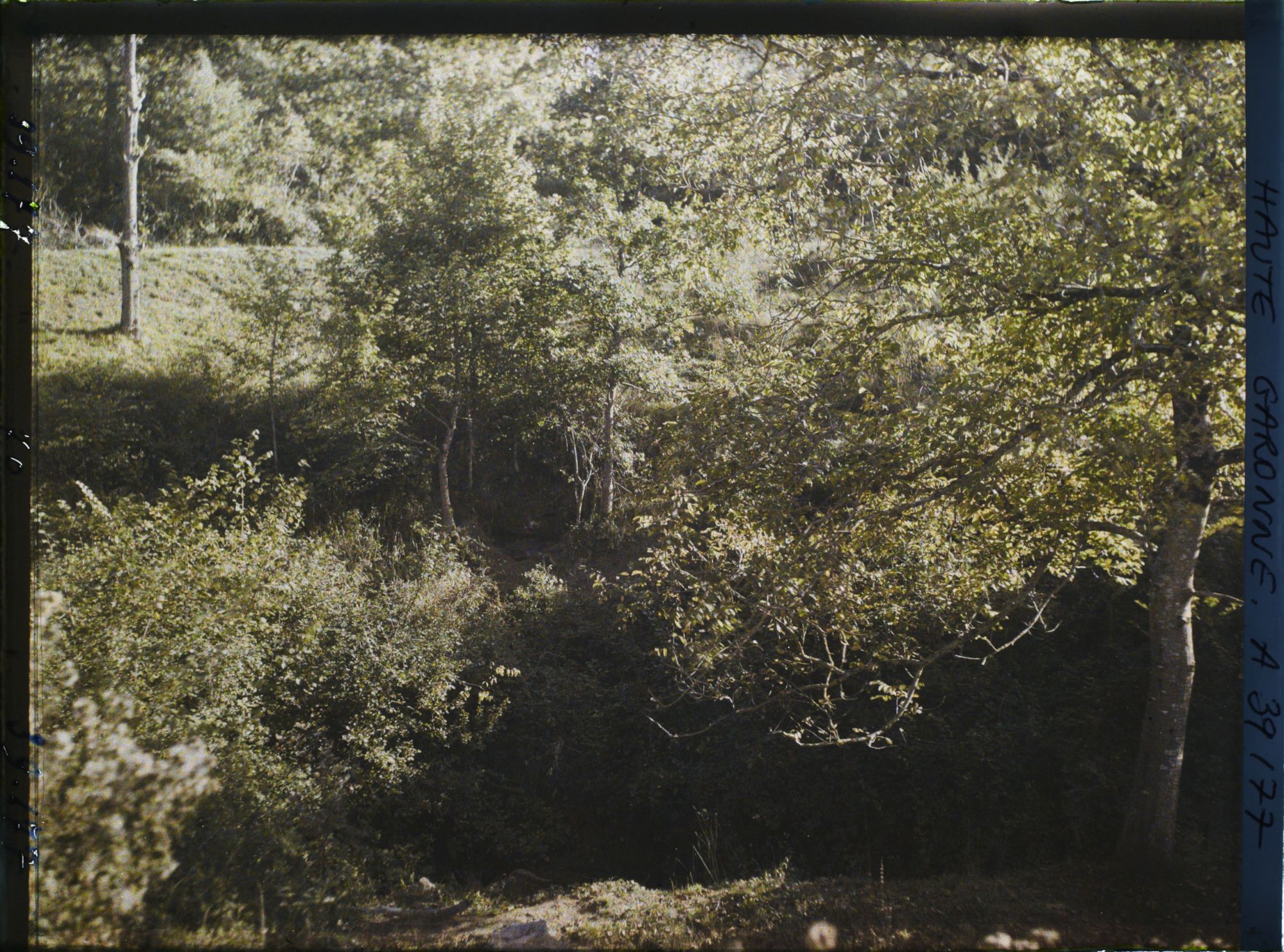 Image représentant L'entrée de la grotte