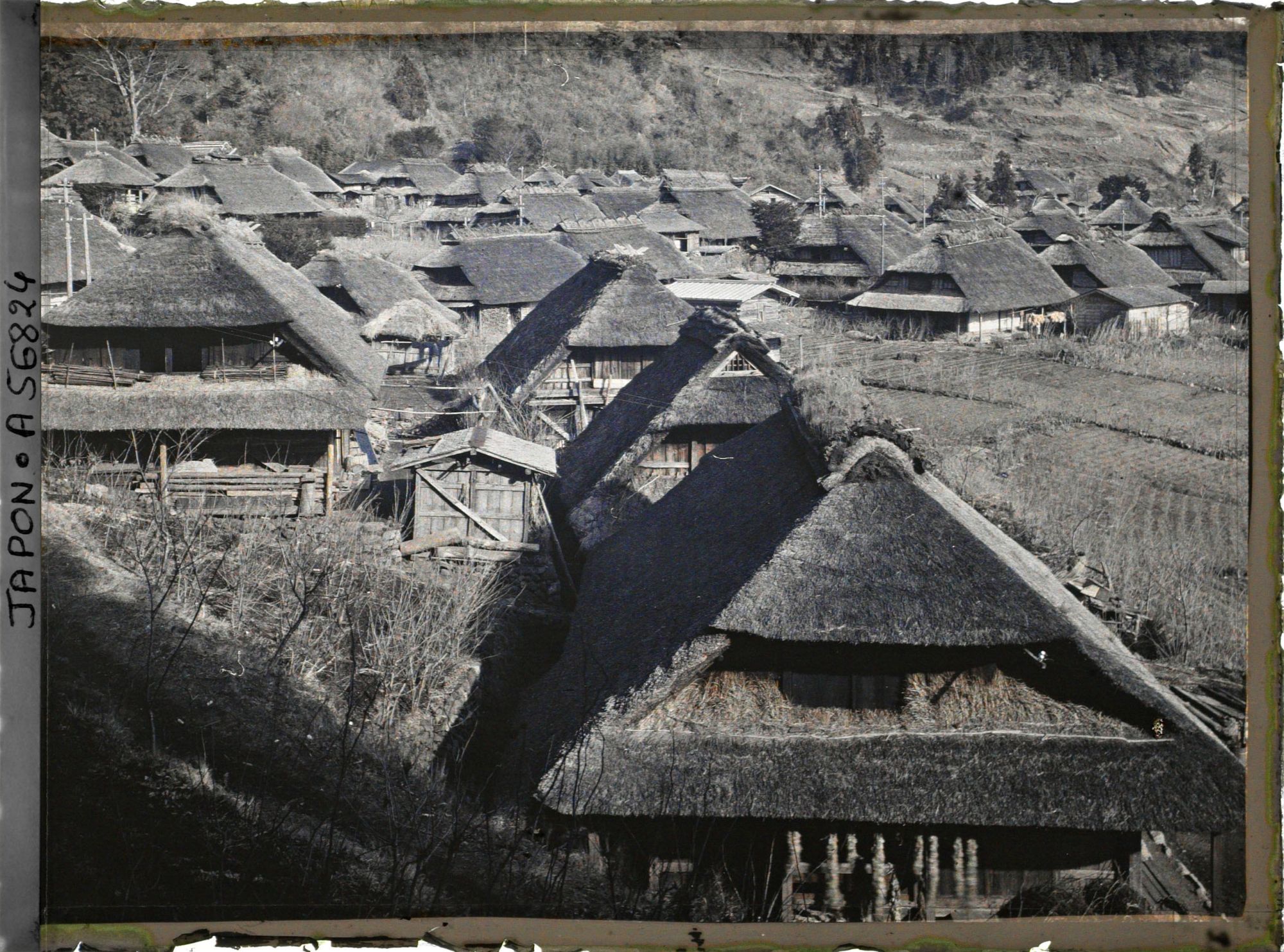 Image représentant Village près des lacs du mont Fuji