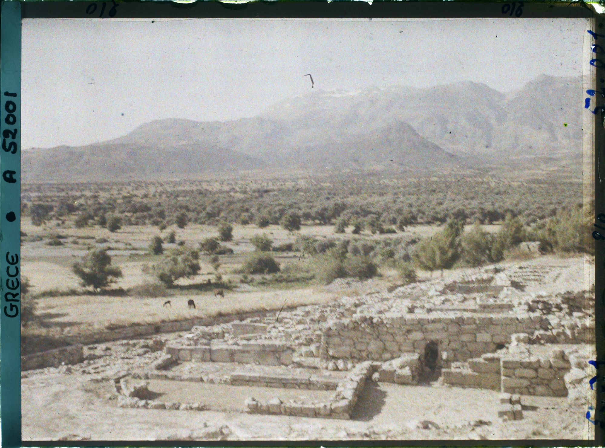 Image représentant Ruines de la villa. Au fond, le mont Ida