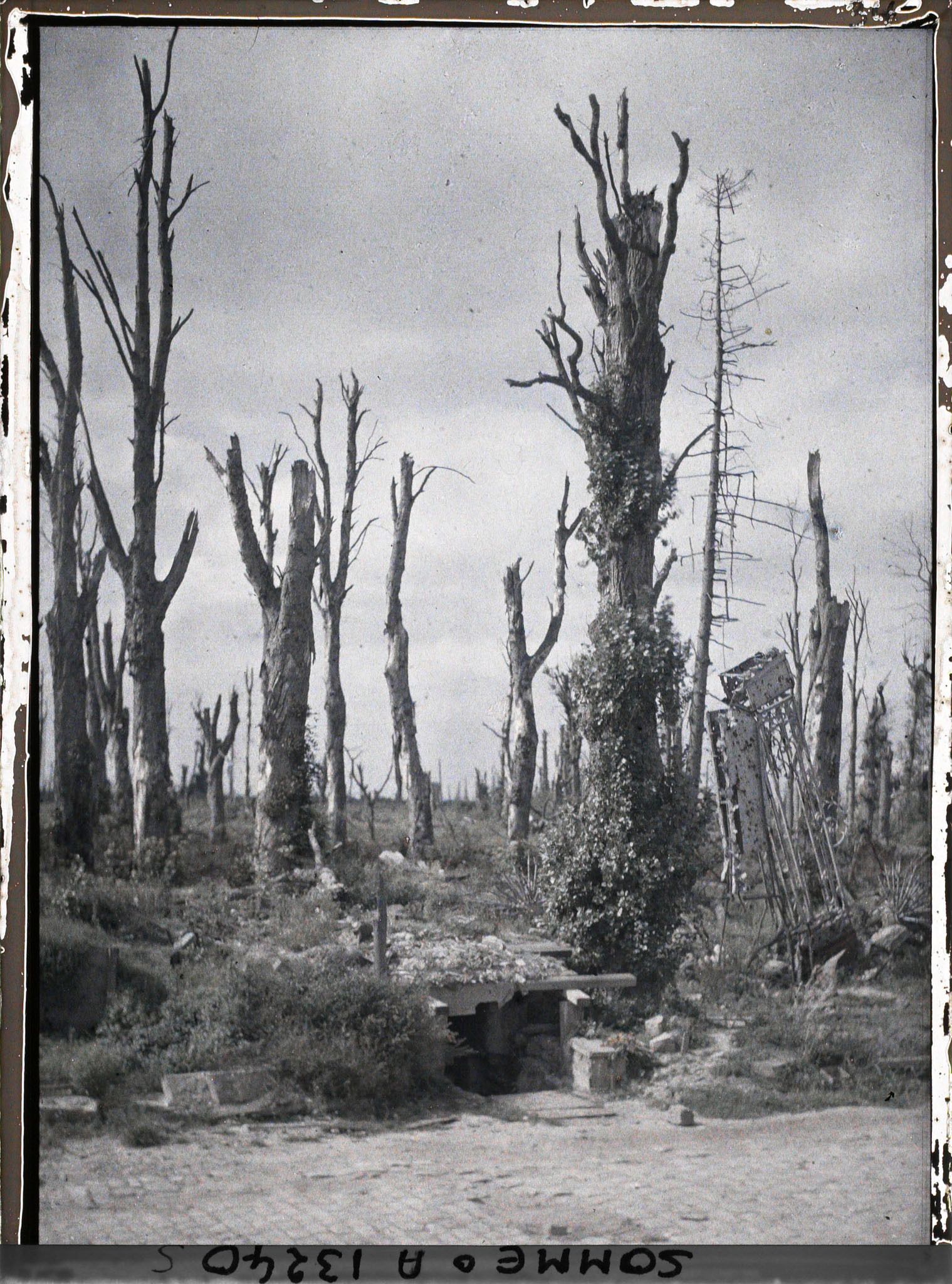 Image représentant France, Chaulnes, Ensemble du Chau et du Parc