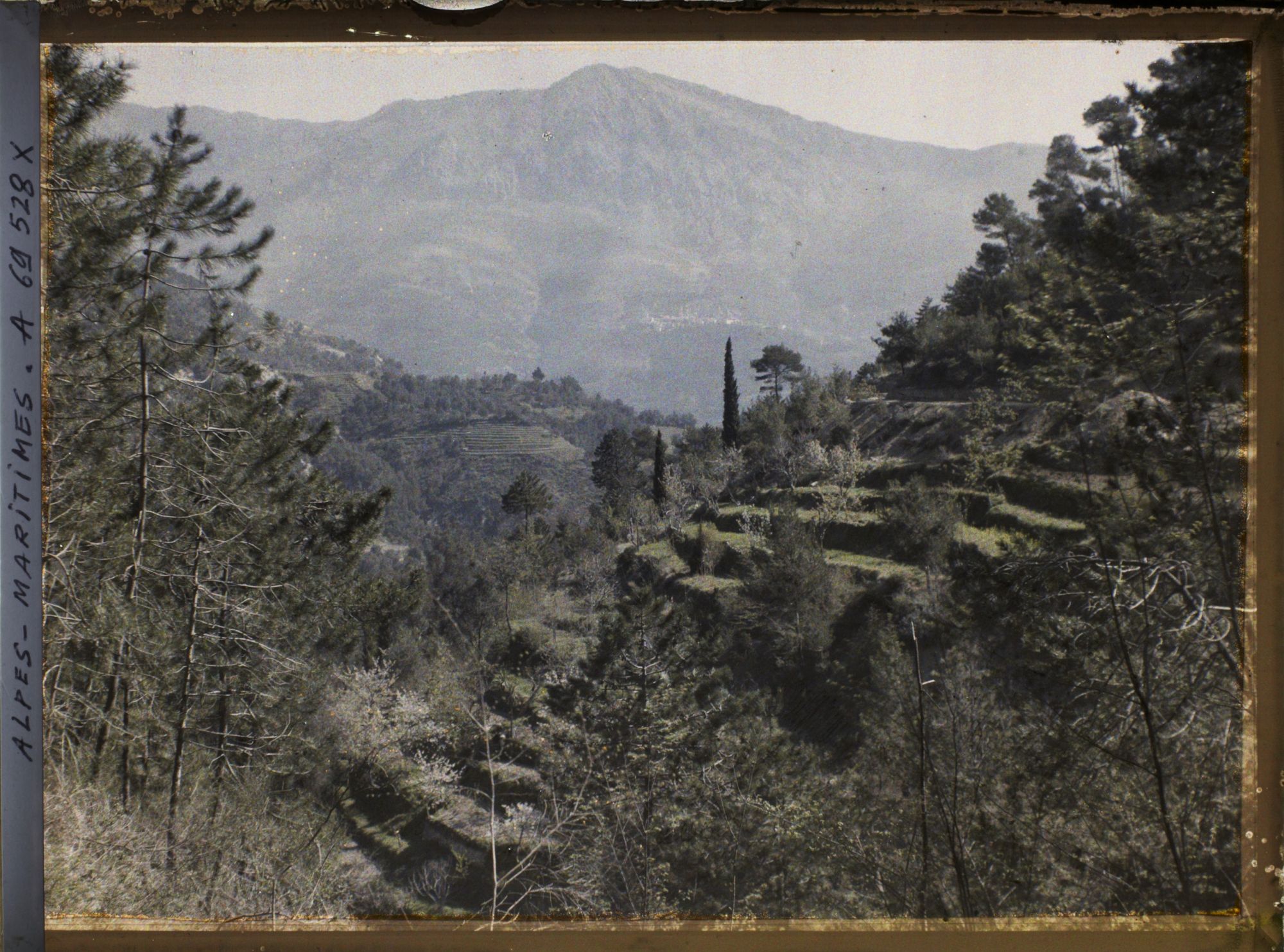 Image représentant Paysage de vallée en terrasses