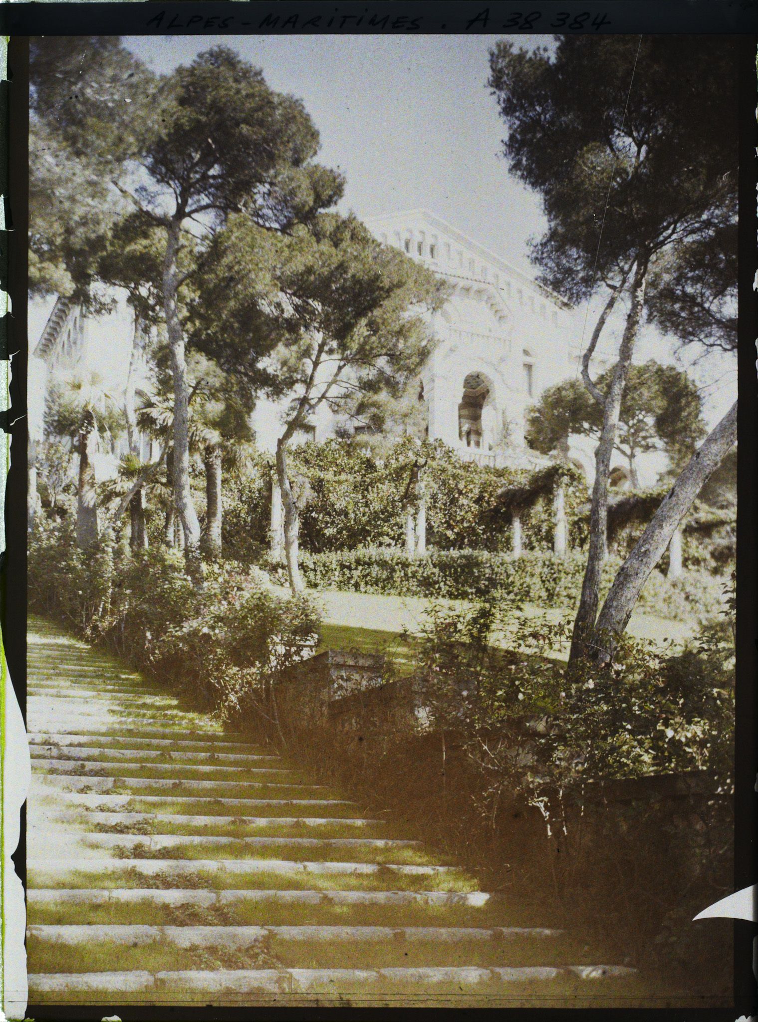 Image représentant La villa Cypris se dressant en haut du jardin et vue depuis son grand escalier