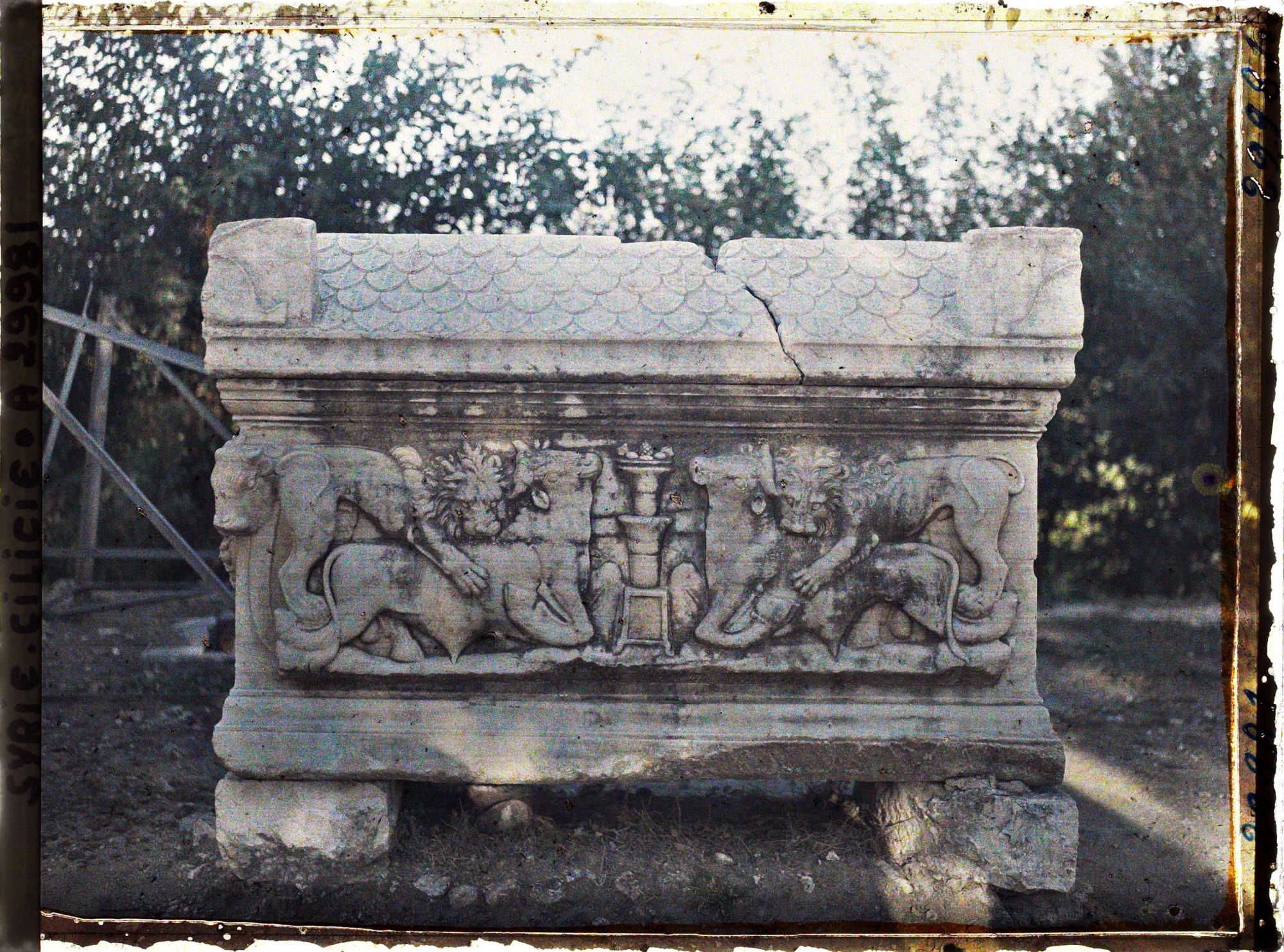 Image représentant Sarcophage romain trouvé dans les environs d'Antioche, représentant des lions dévorant des taureaux, et exposé dans la cour d'un musée ou d'un bâtiment officiel