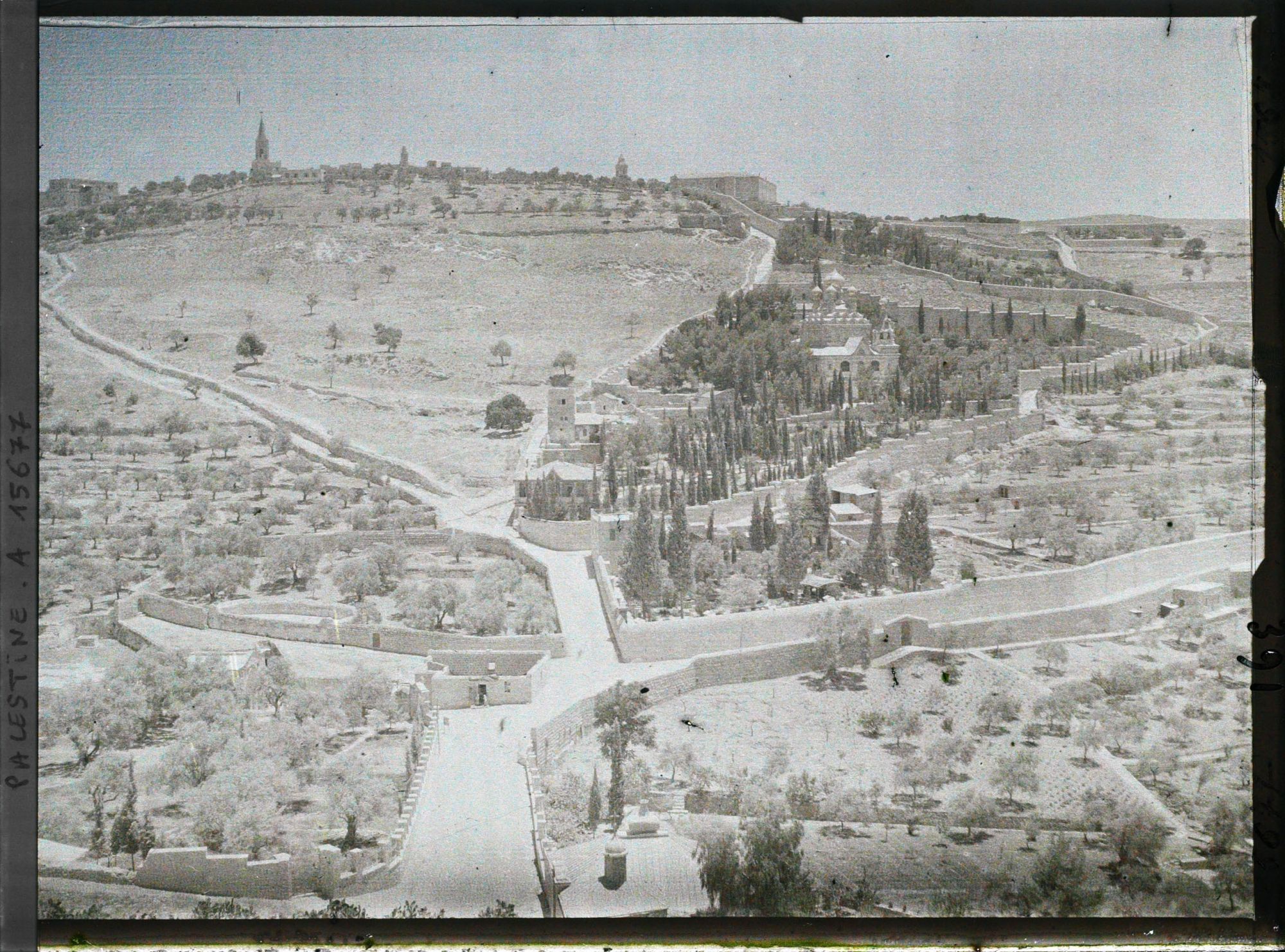 Image représentant Panorama du Gethsemani