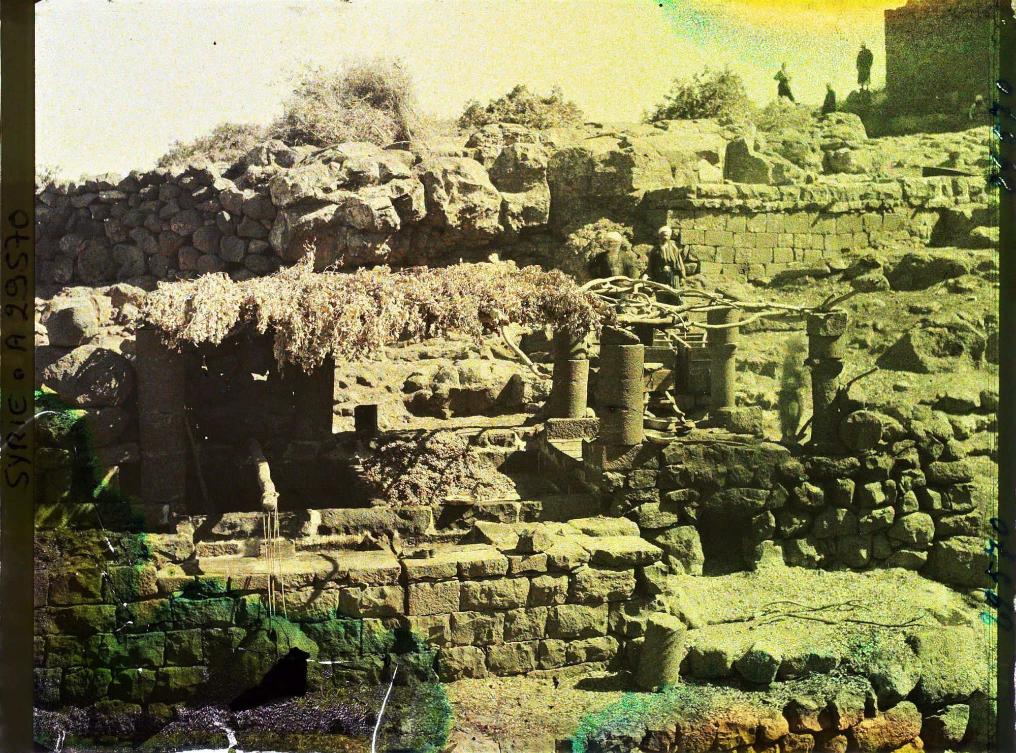 Image représentant Fabrication de la mélasse de raisin