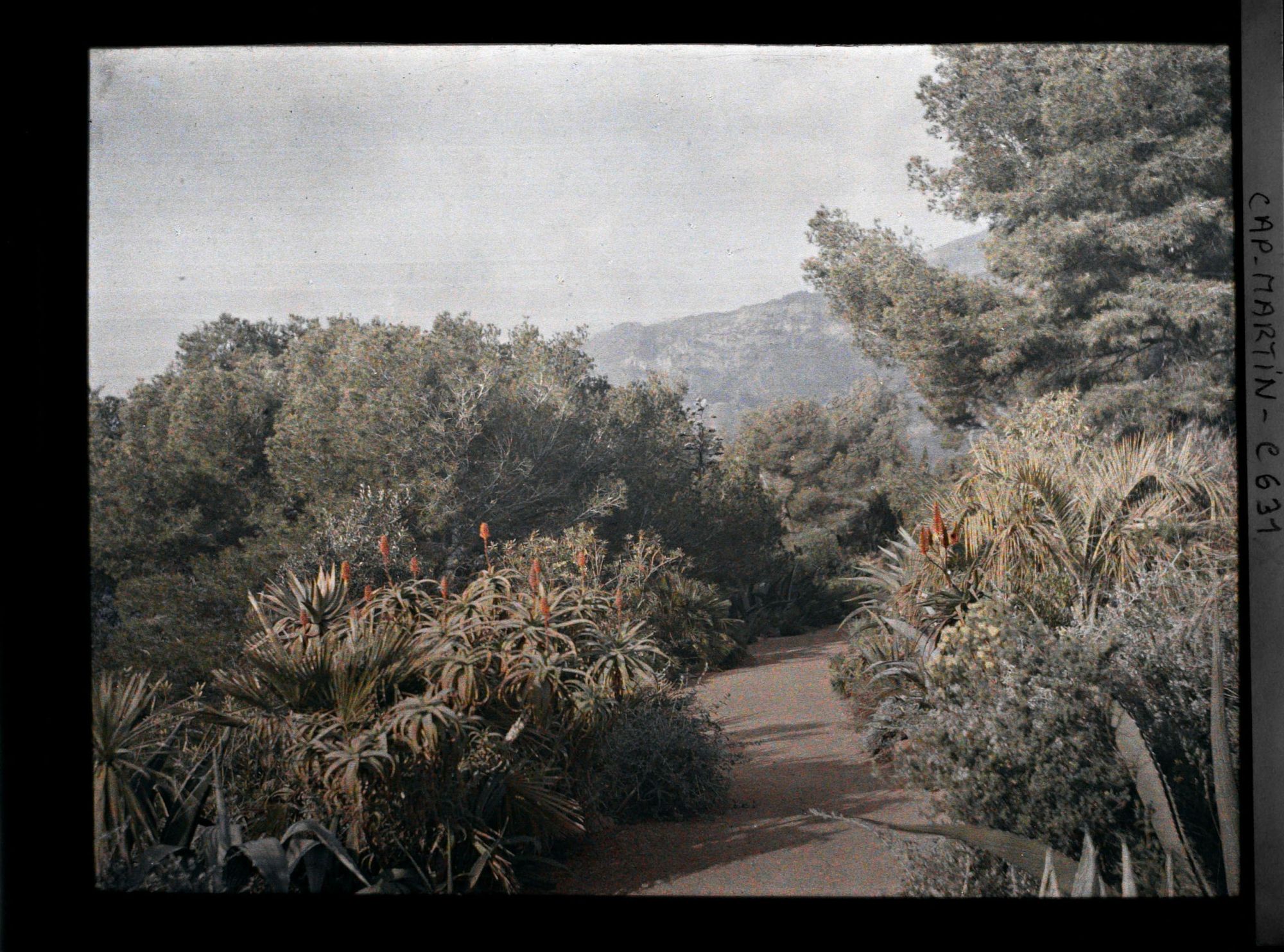 Image représentant Partie basse du jardin vers les rochers