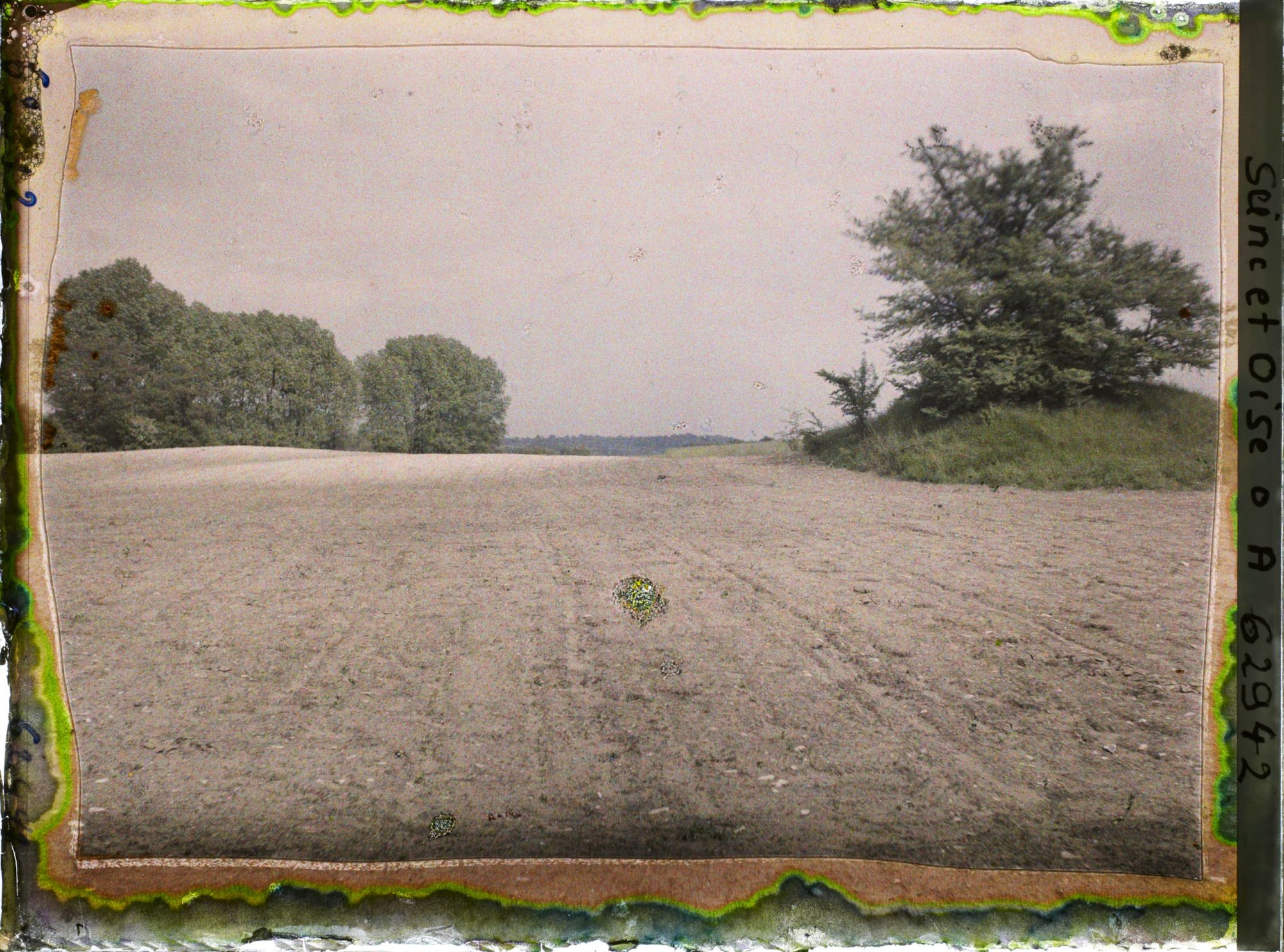 Image représentant Ile de France, Frepillon, Ensemencement de betteraves