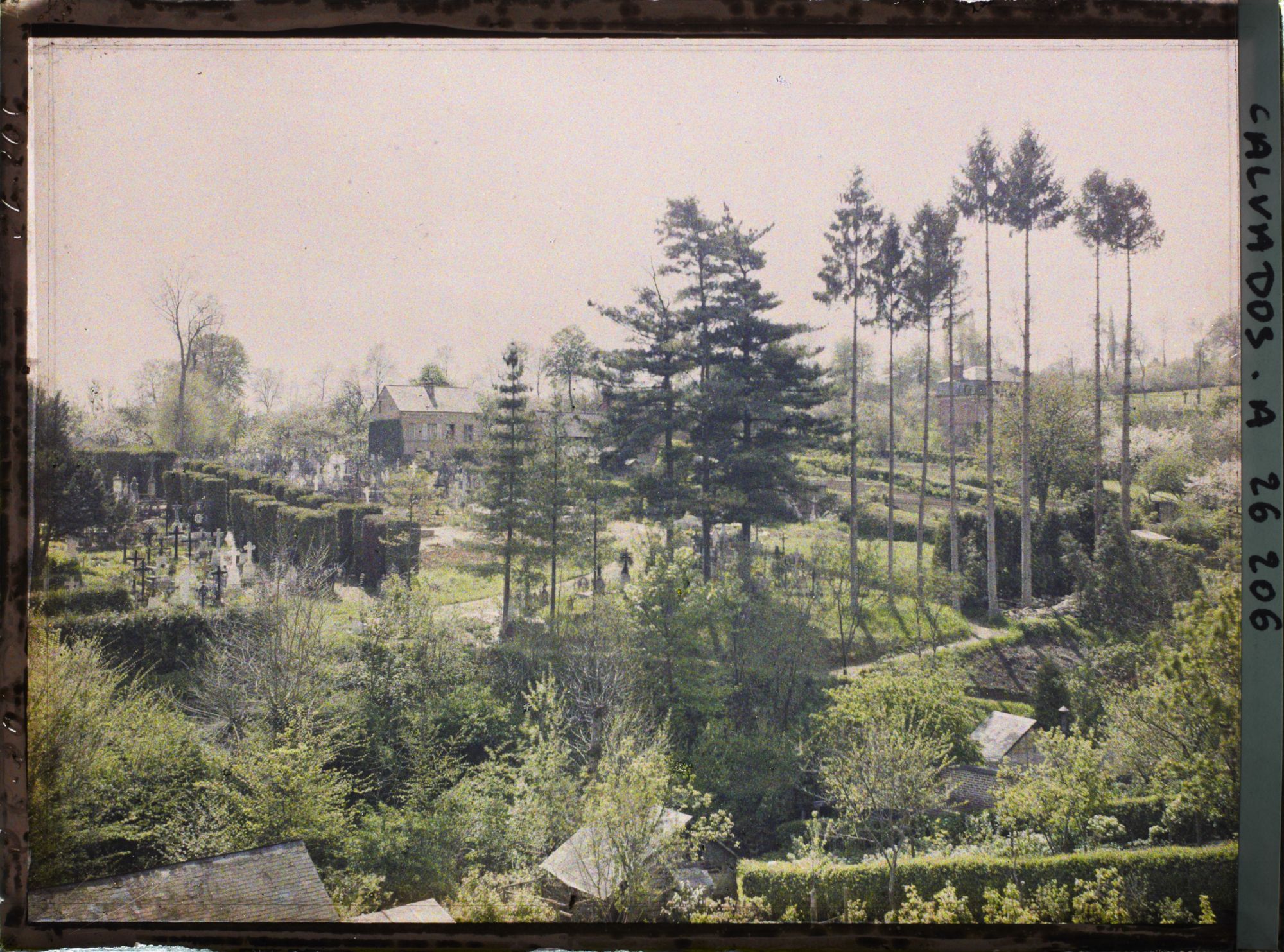 Image représentant Cimetière vers le Mont Cassin