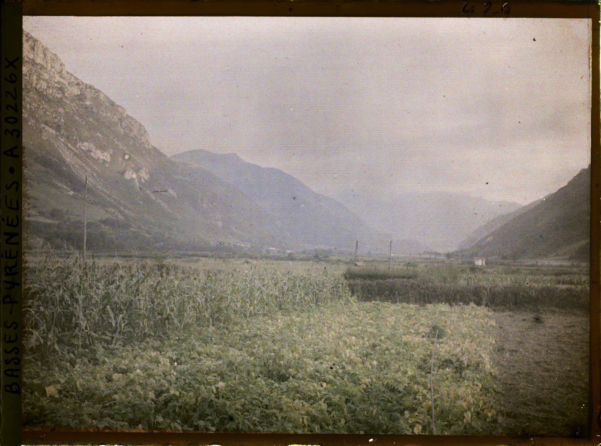 Image représentant France , Vallée d'Ossau, Panorama