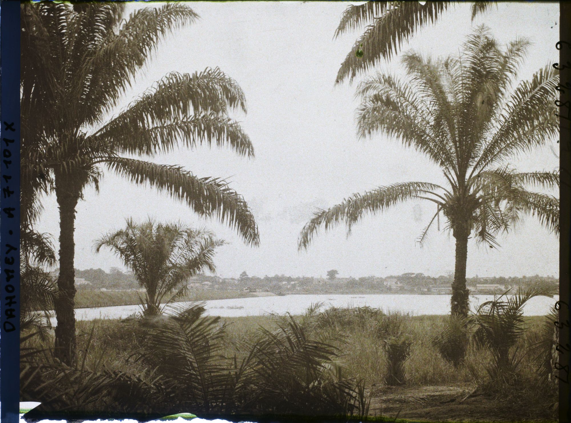 Image représentant Paysage en direction de la lagune, à Porto-Novo ?