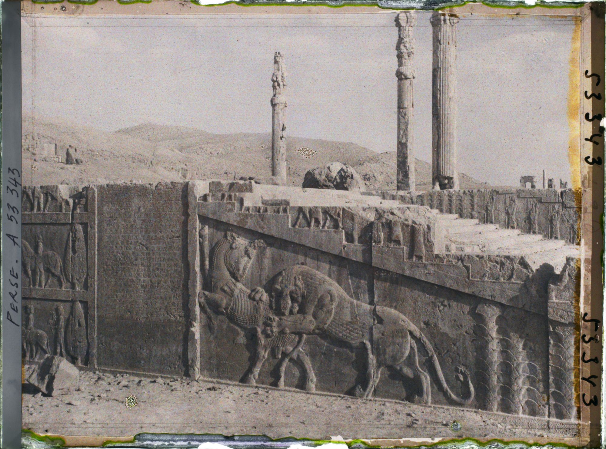 Image représentant Escalier nord de l'Apadana, combat du lion et du taureau et inscriptions cunéiformes