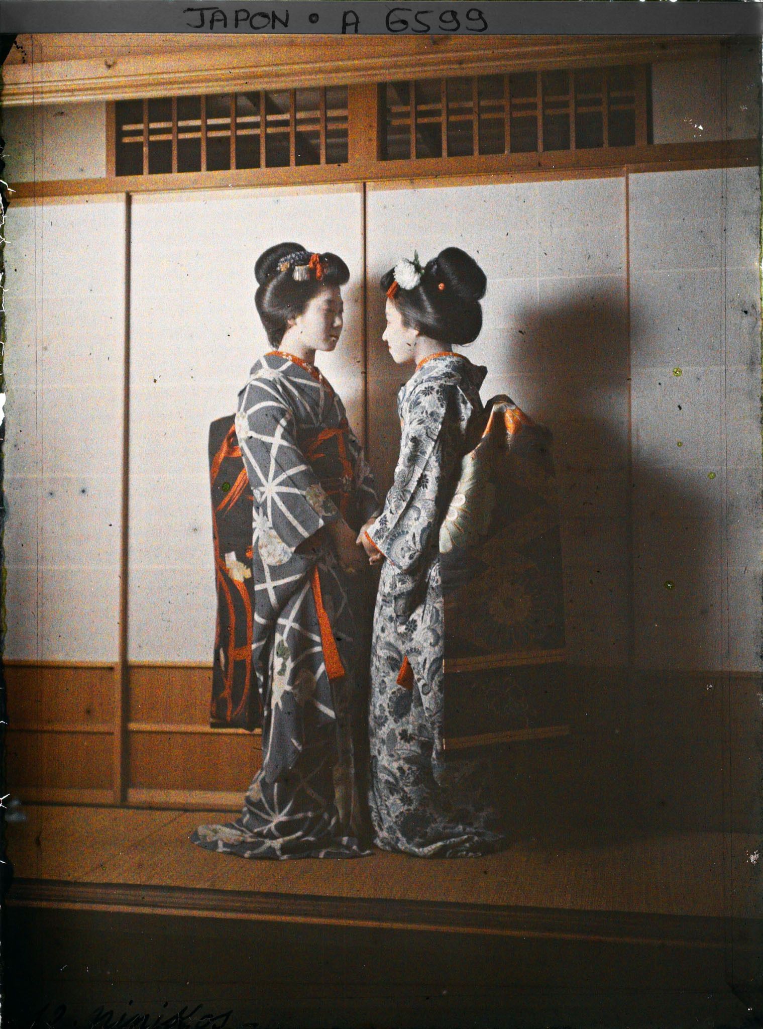 Image représentant Deux maiko (apprenties geisha)