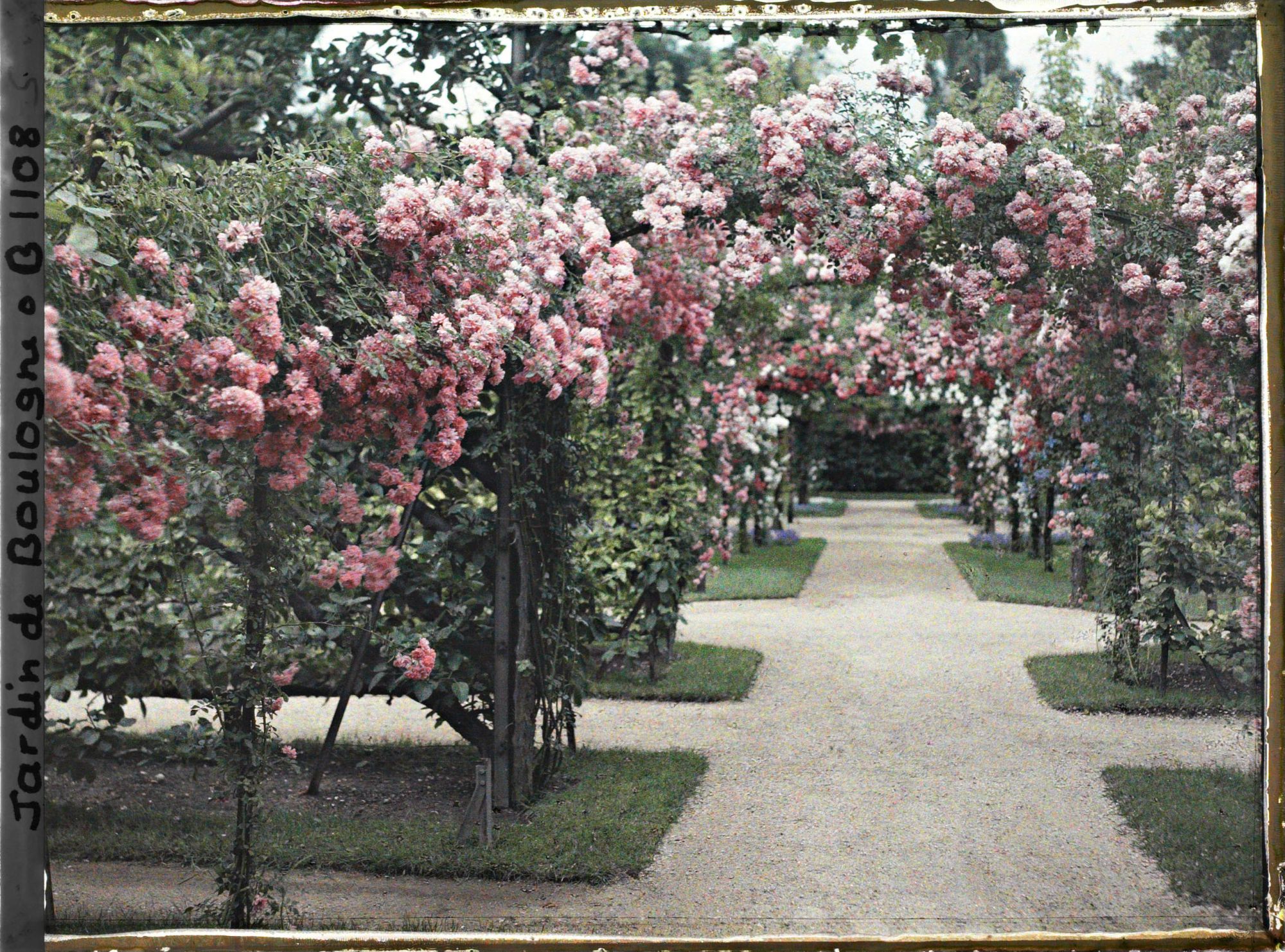 Image représentant Axe central du verger-roseraie vu à mi-parcours, en direction de la dépendance
