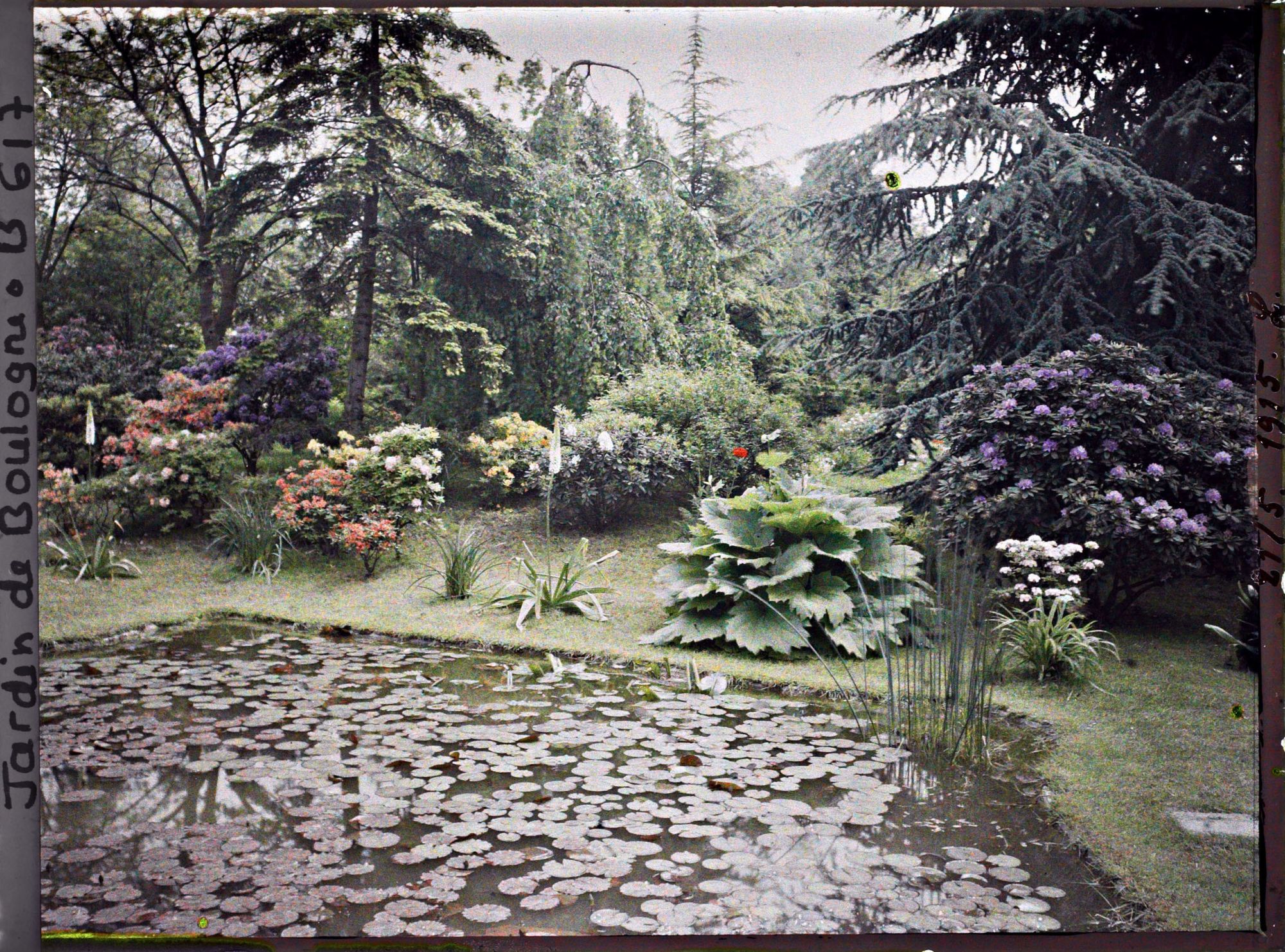 Image représentant Bord " d'étang " fleuri, situé à l'est du marais et vu dans cette même direction