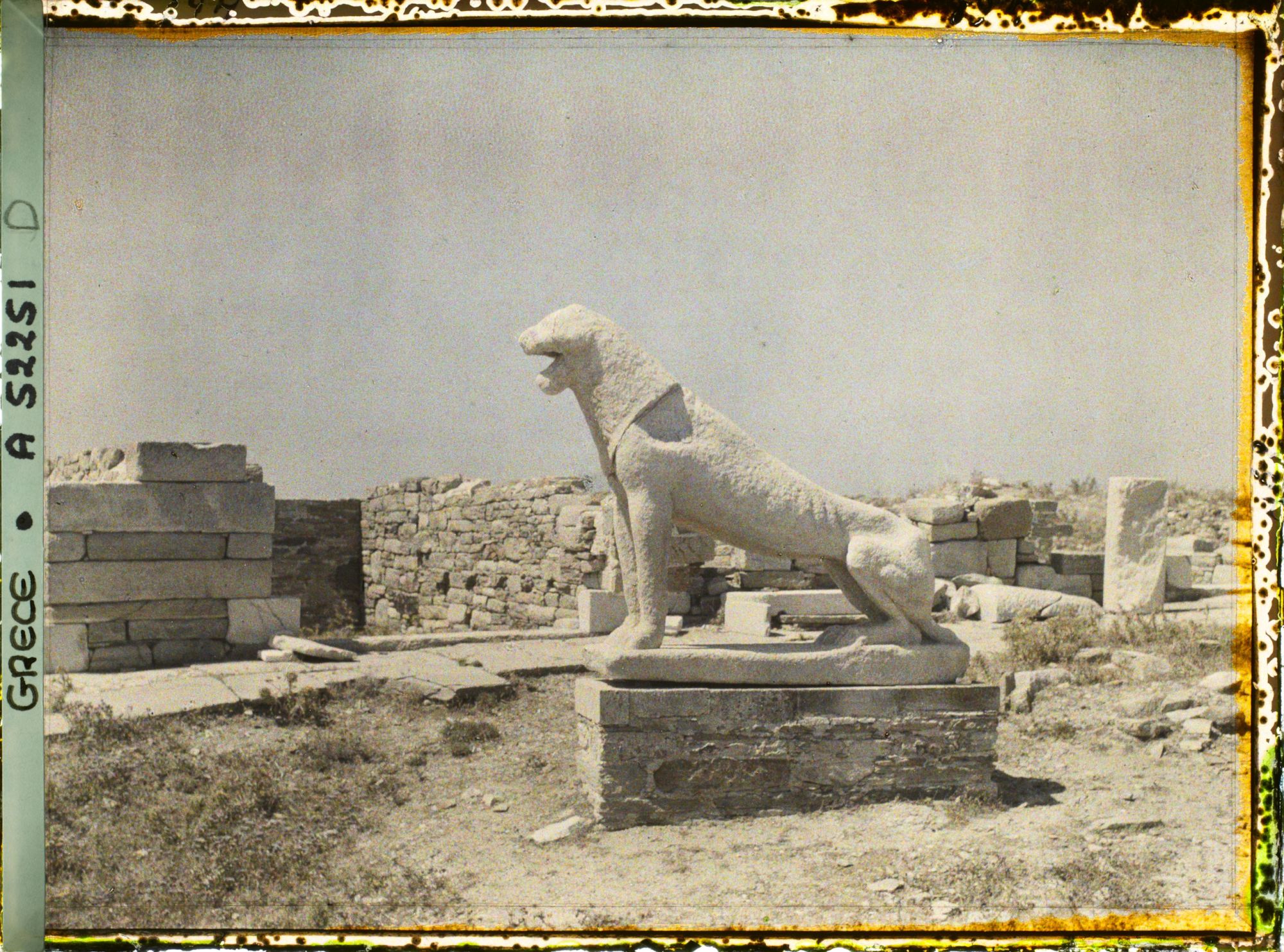 Image représentant Une lionne