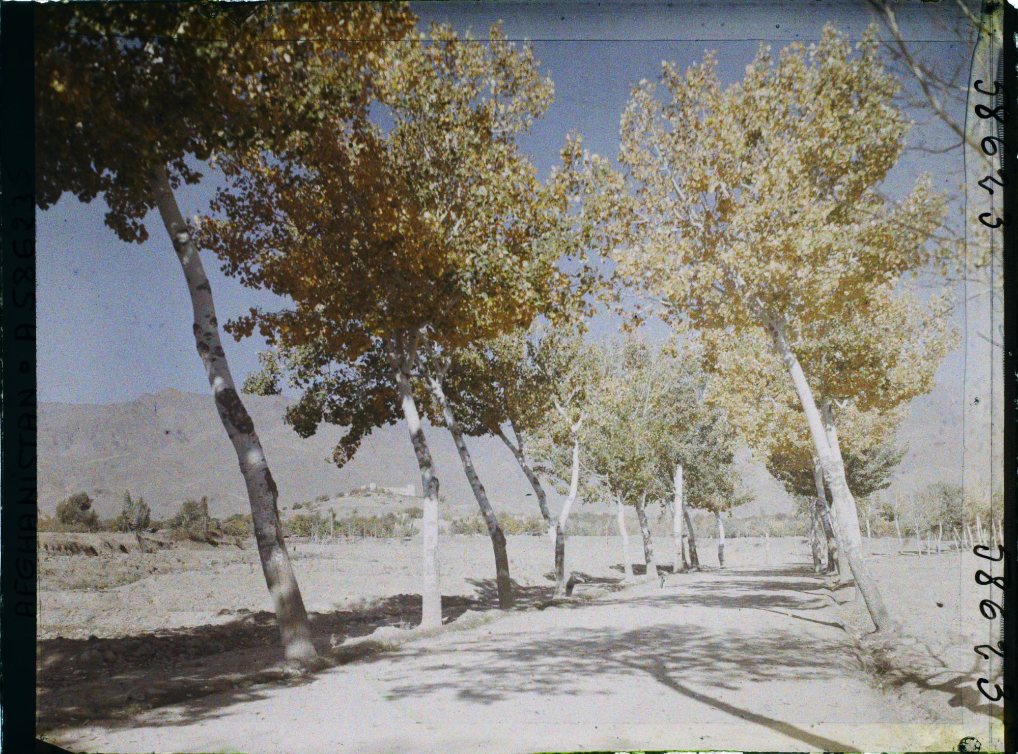 Image représentant Afghanistan, Kaboul, La route de Paghman Kaboul, autre aspect