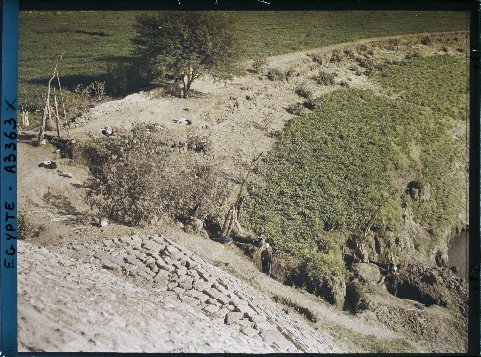 Image représentant Utilisation de chadouf dans la campagne près du temple de Kom Ombo
