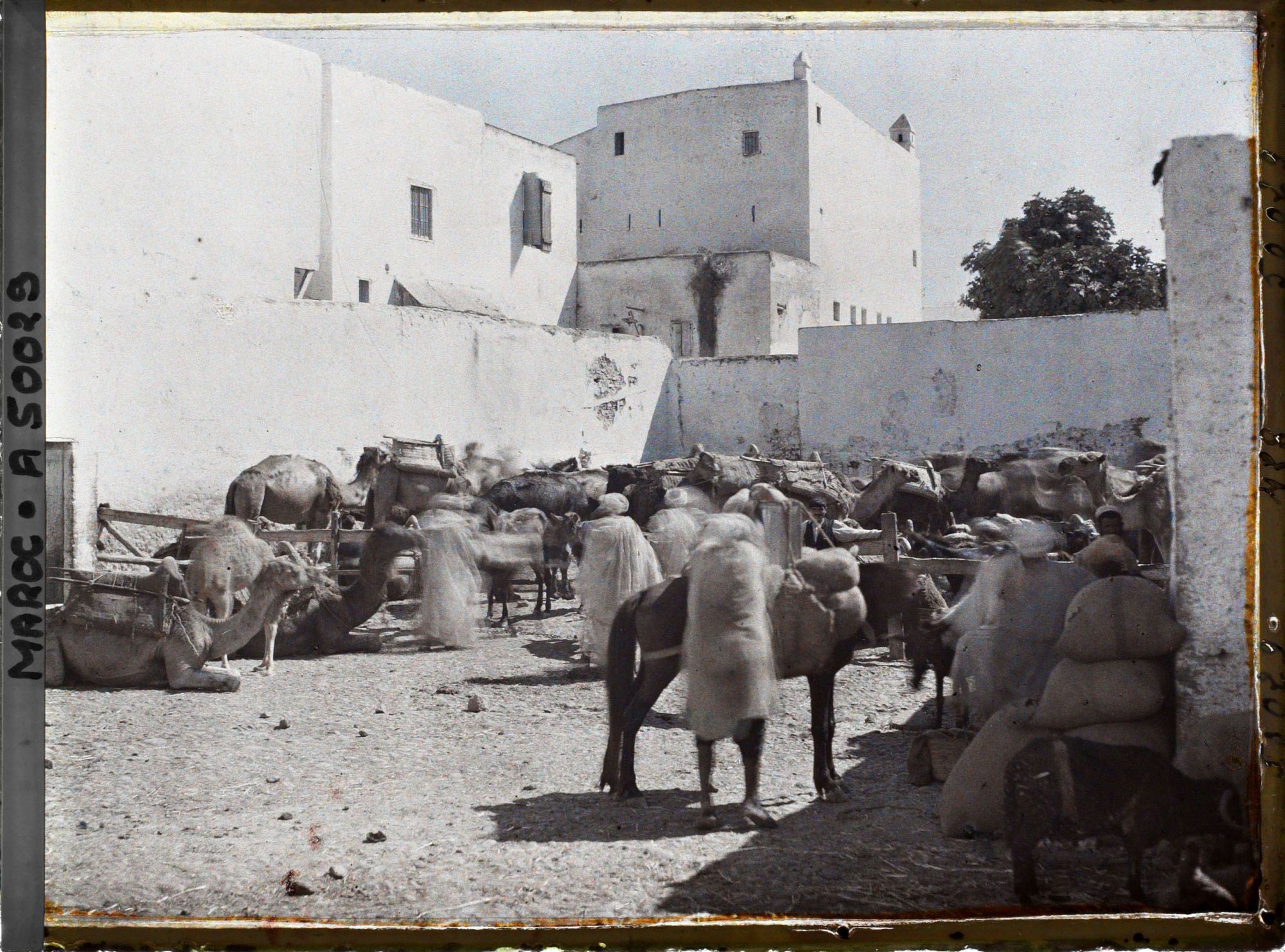Image représentant Un fondouk