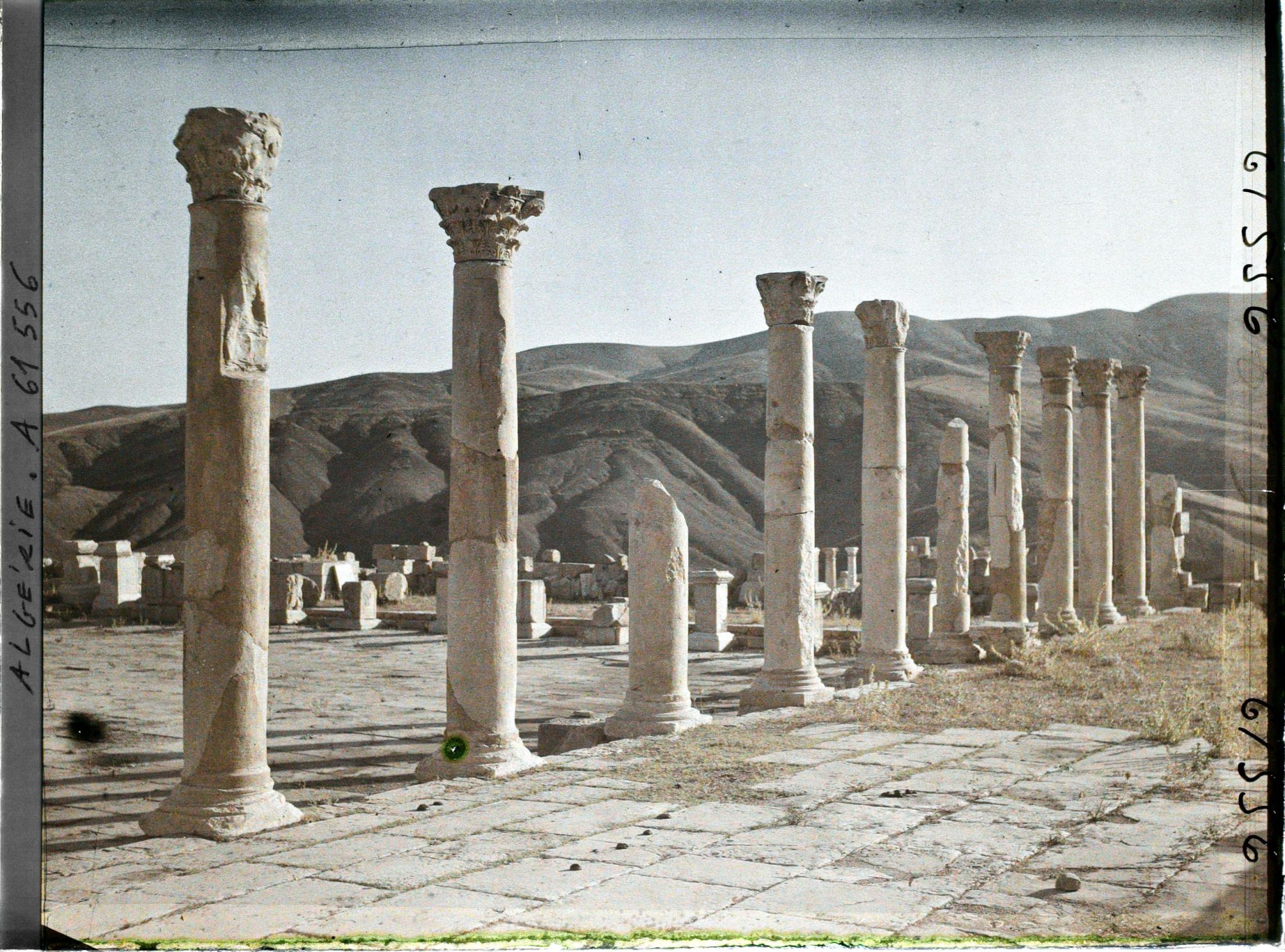 Image représentant Les Colonnades de l'ancien Forum, vestiges de la cité antique Cuicul