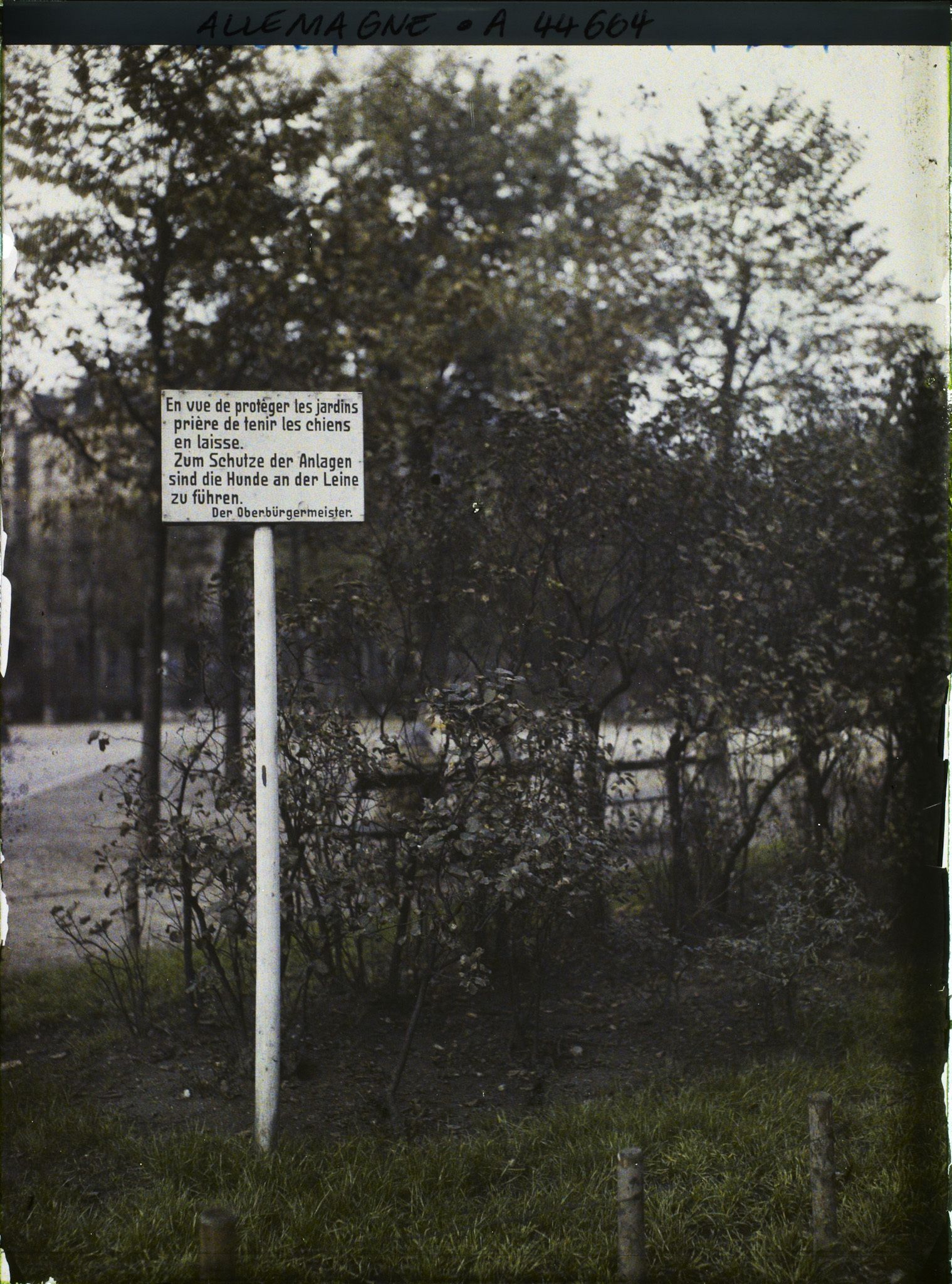 Image représentant Allemagne, Mayence, Inscription concernant les Jardins