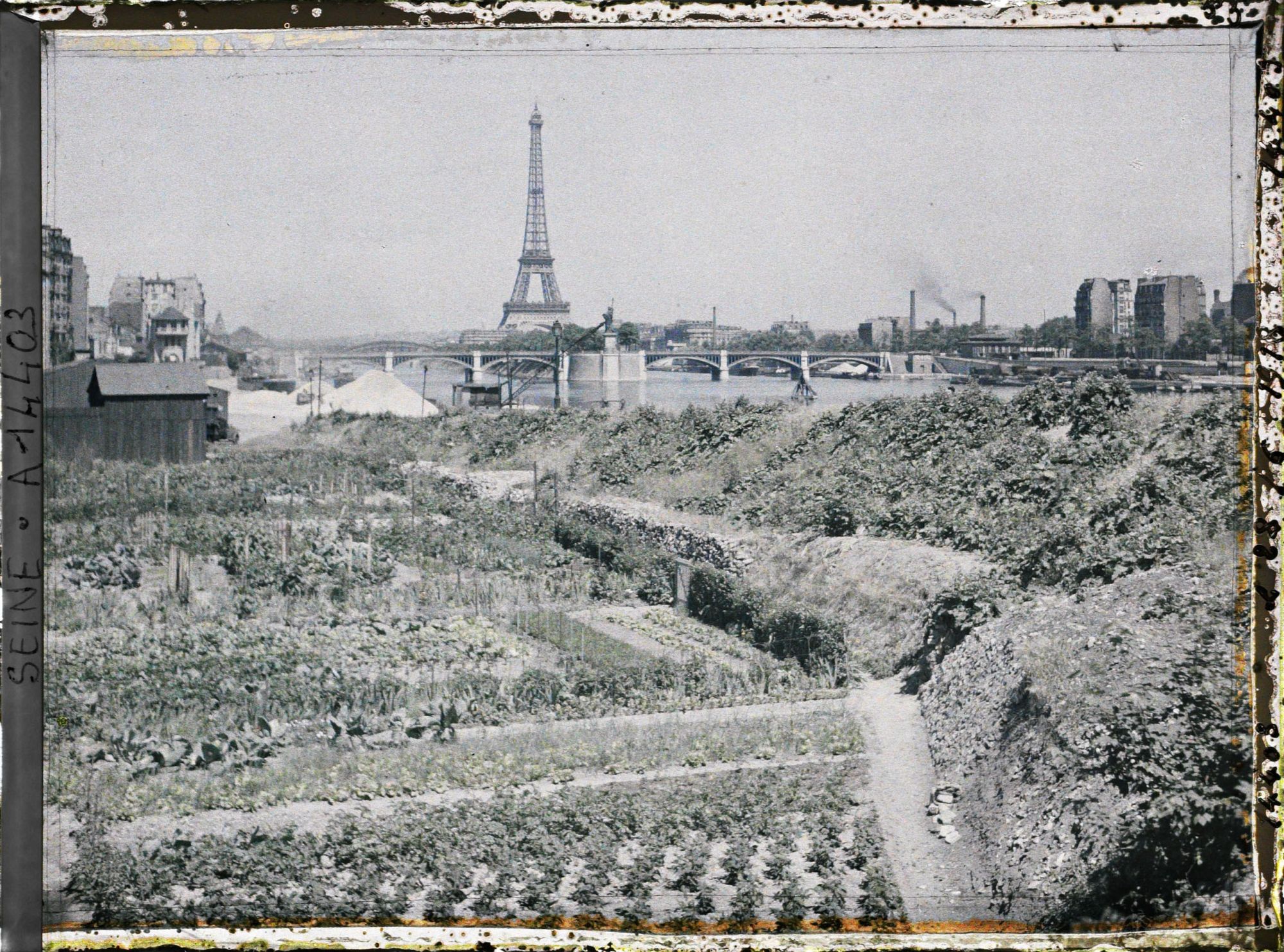 Image représentant Jardins potagers, quai d'Auteuil (actuel quai Louis-Blériot), en face le pont de Grenelle et la statue de la Liberté