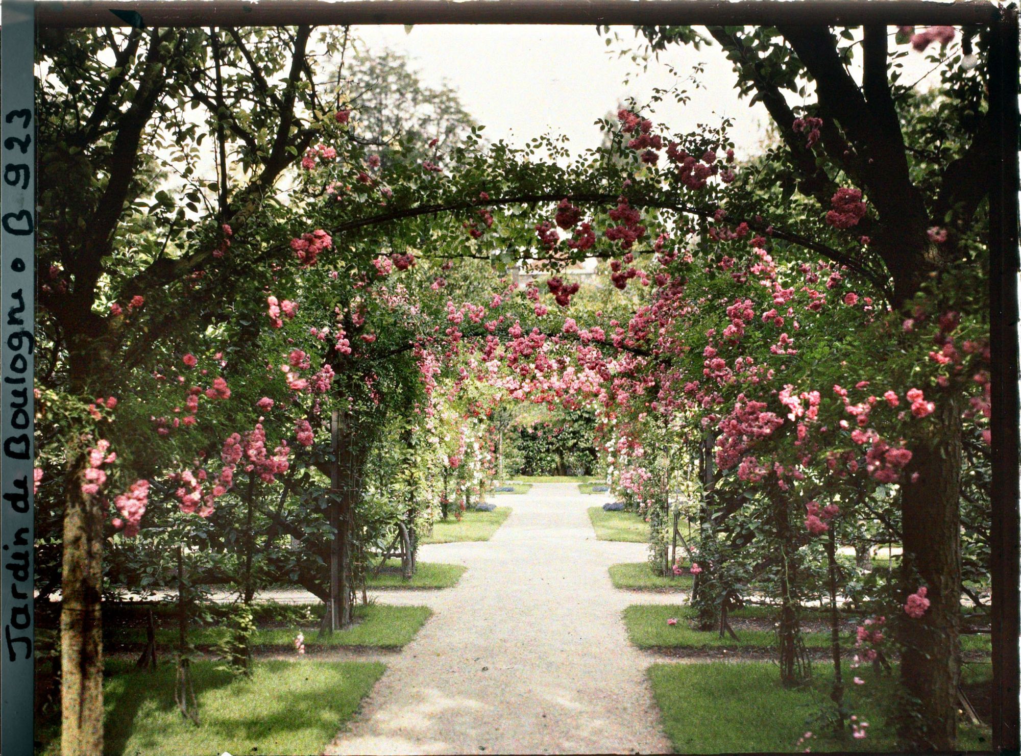 Image représentant Axe central du verger-roseraie vu à mi-parcours, en direction de la dépendance