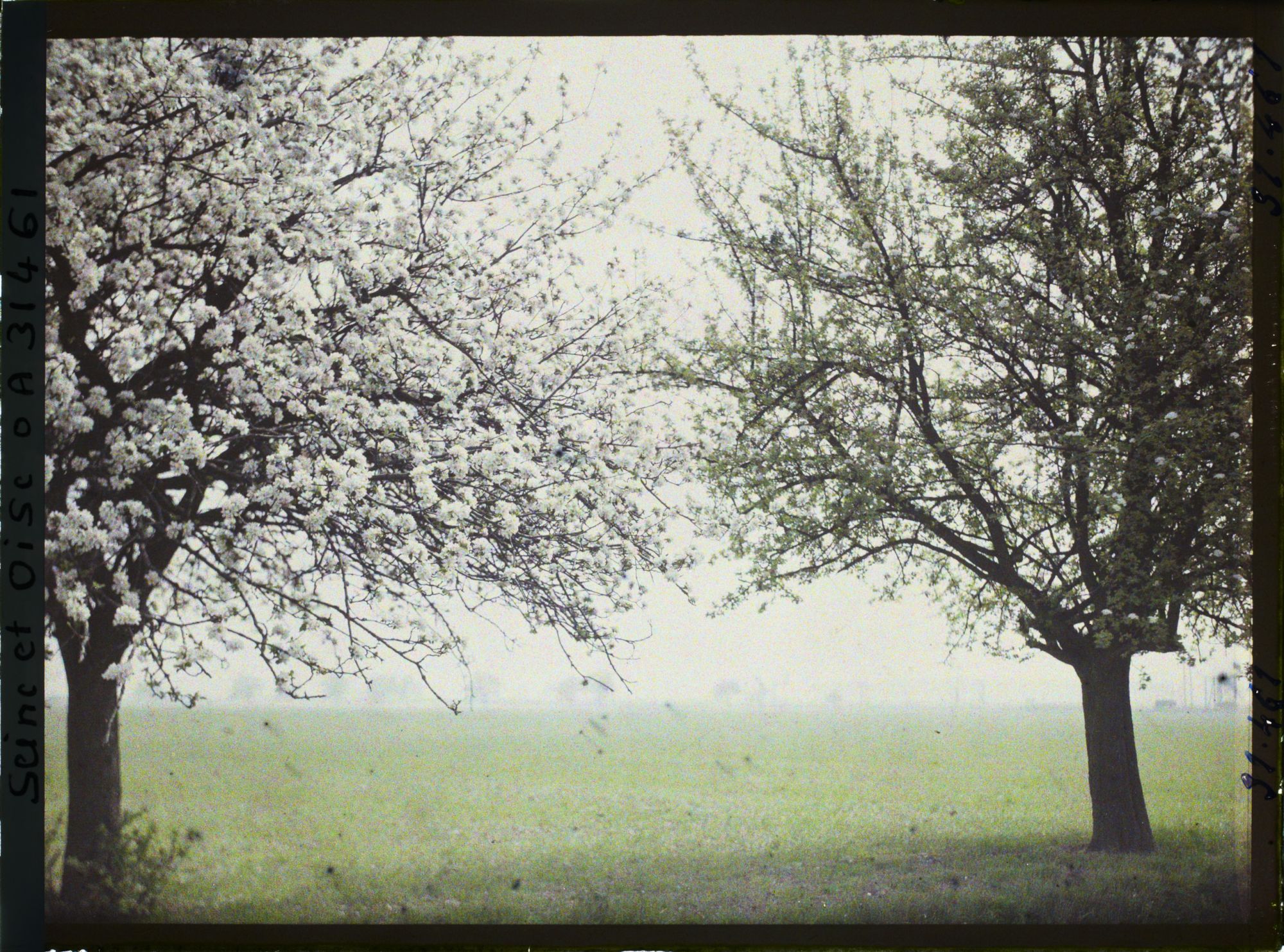 Image représentant France, Trappes, Vue prise de la rue de Chevreuse