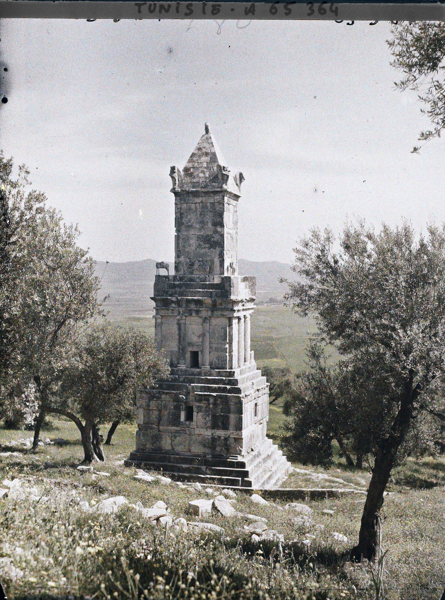 Image représentant Le mausolée libyco-punique au milieu des oliviers