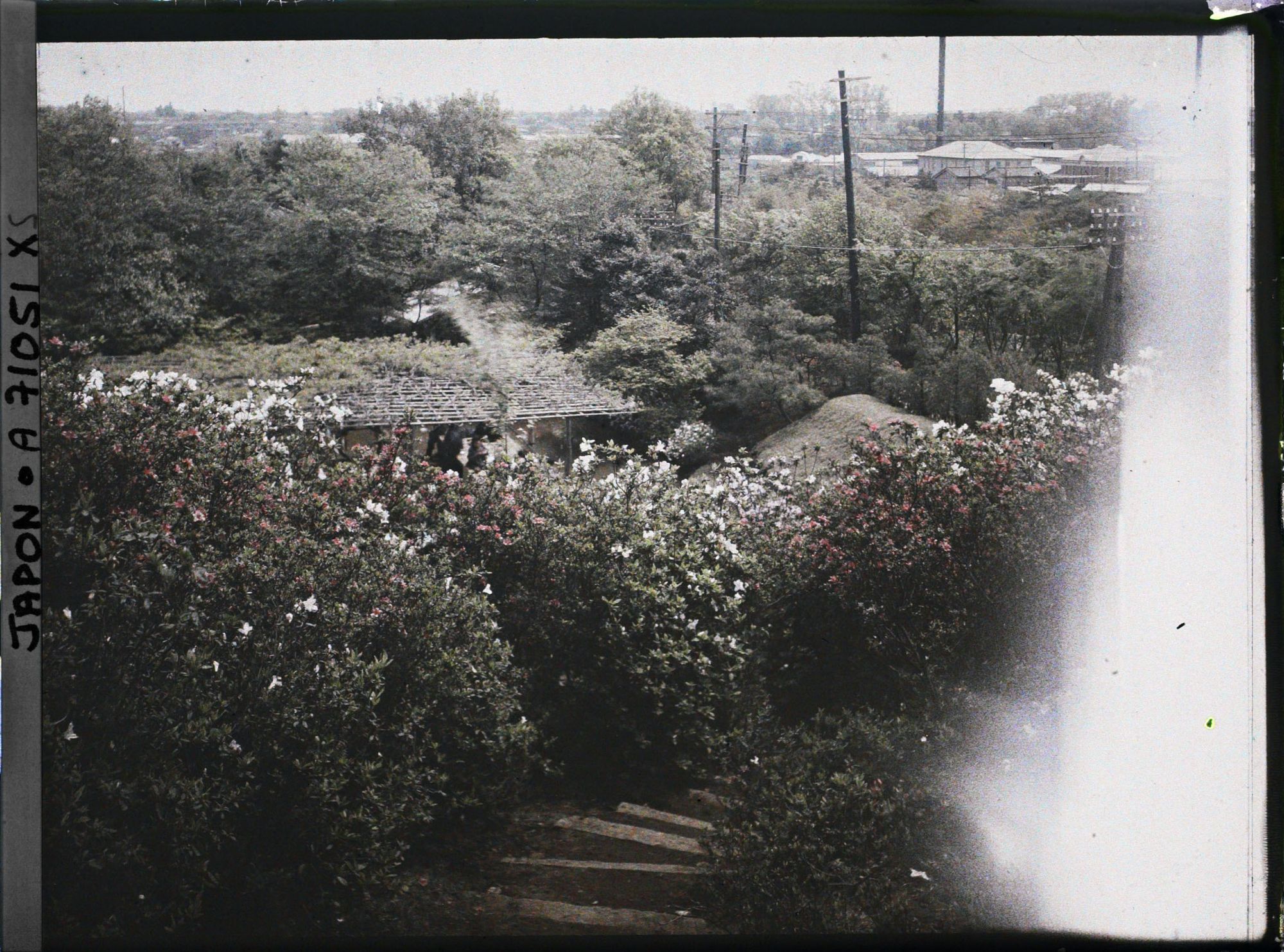 Image représentant Parc