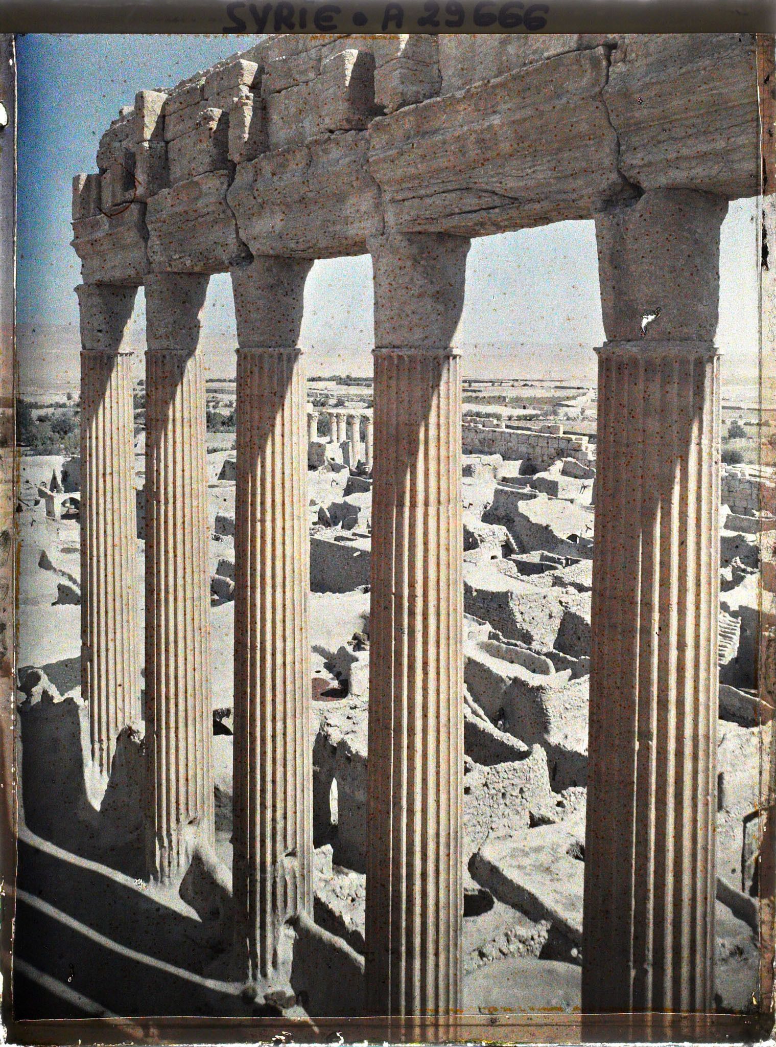 Image représentant Colonnade du Temple de Bêl