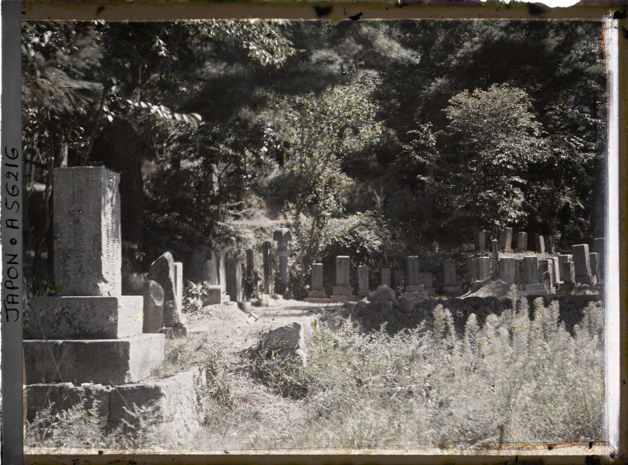 Image représentant Un coin du cimetière