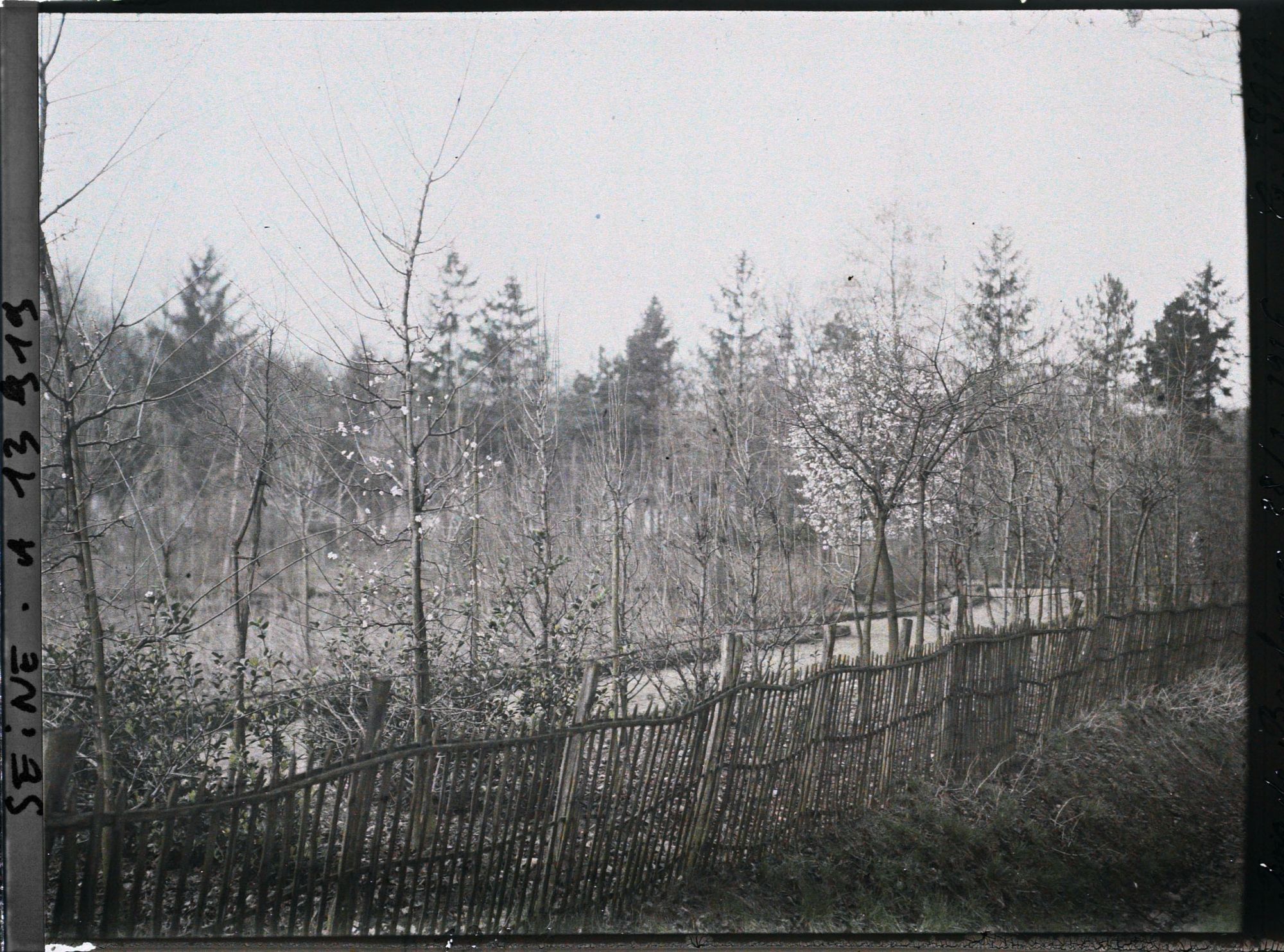 Image représentant Le bois de Boulogne
