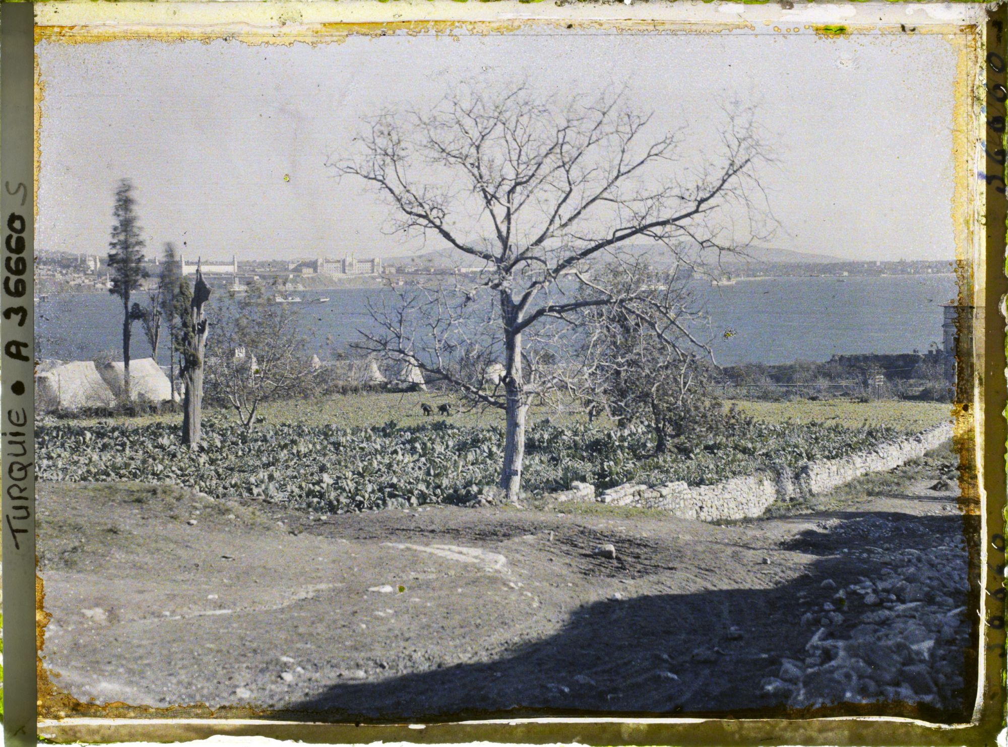 Image représentant Vue sur la mer de Marmara et la côte d'Asie (faubourg d'Uskü dar)