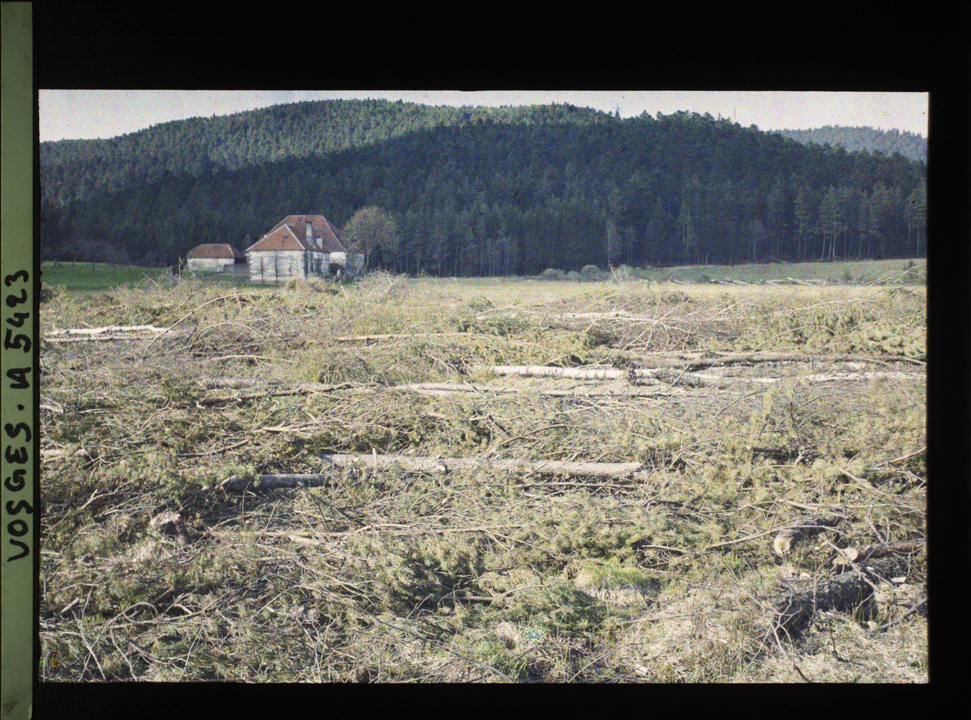 Image représentant Aspect des Vosges pris au col de la Chipotte : exploitation des arbres, une maison