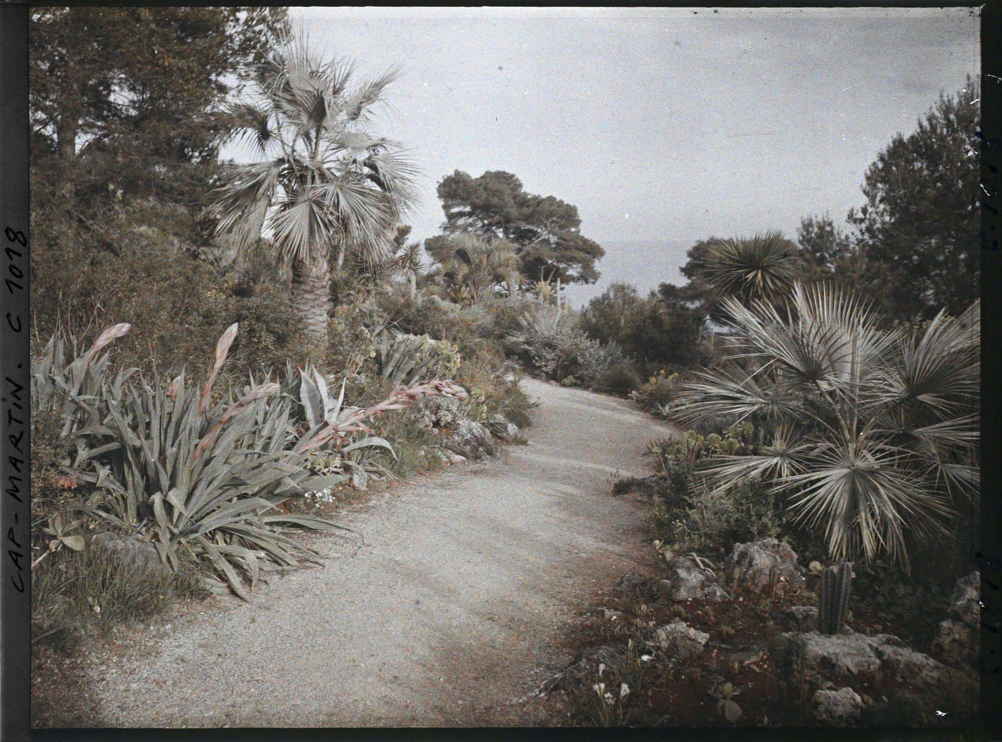 Image représentant Le Jardin, vue vers la mer