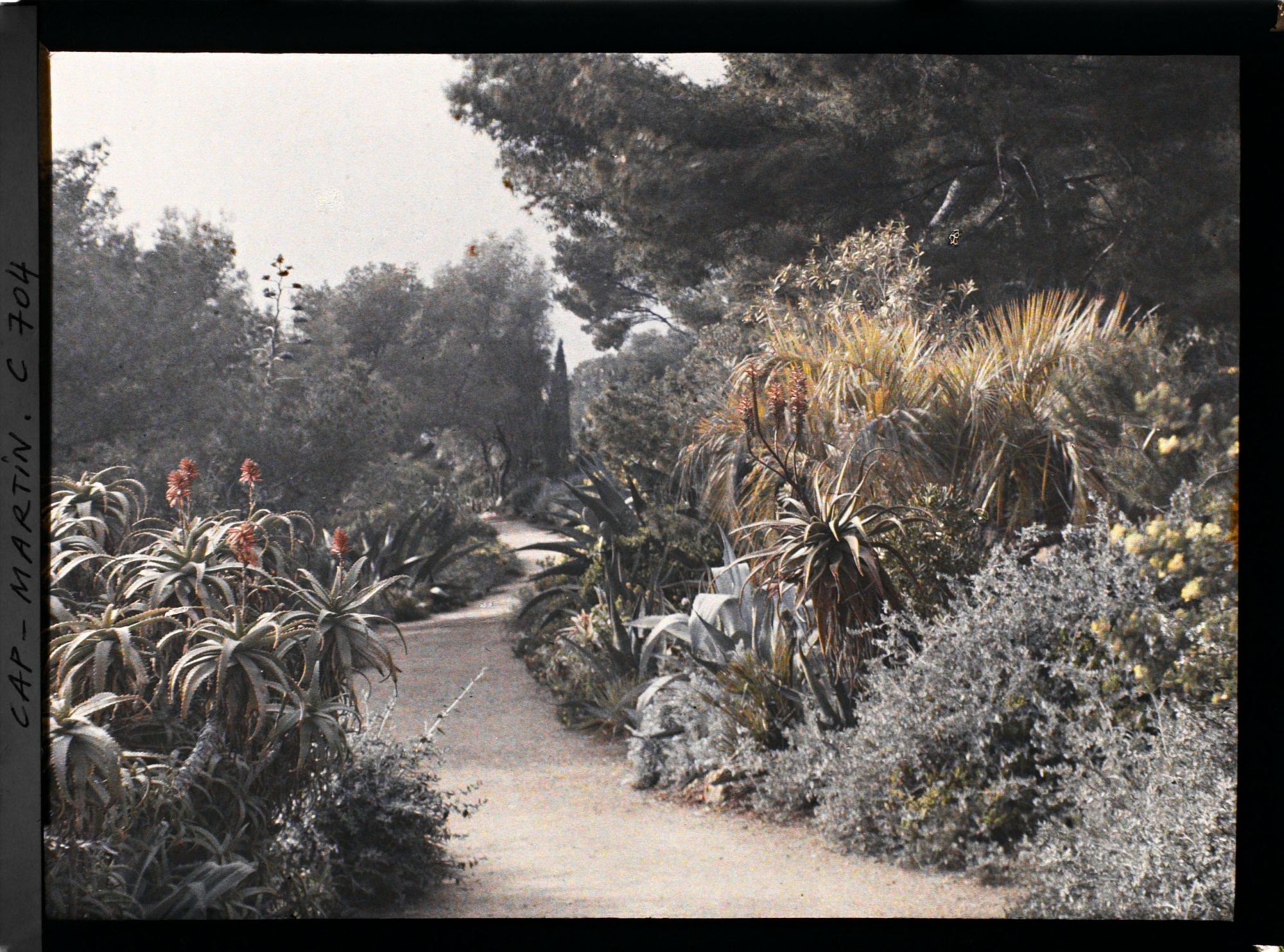 Image représentant Jardin divers