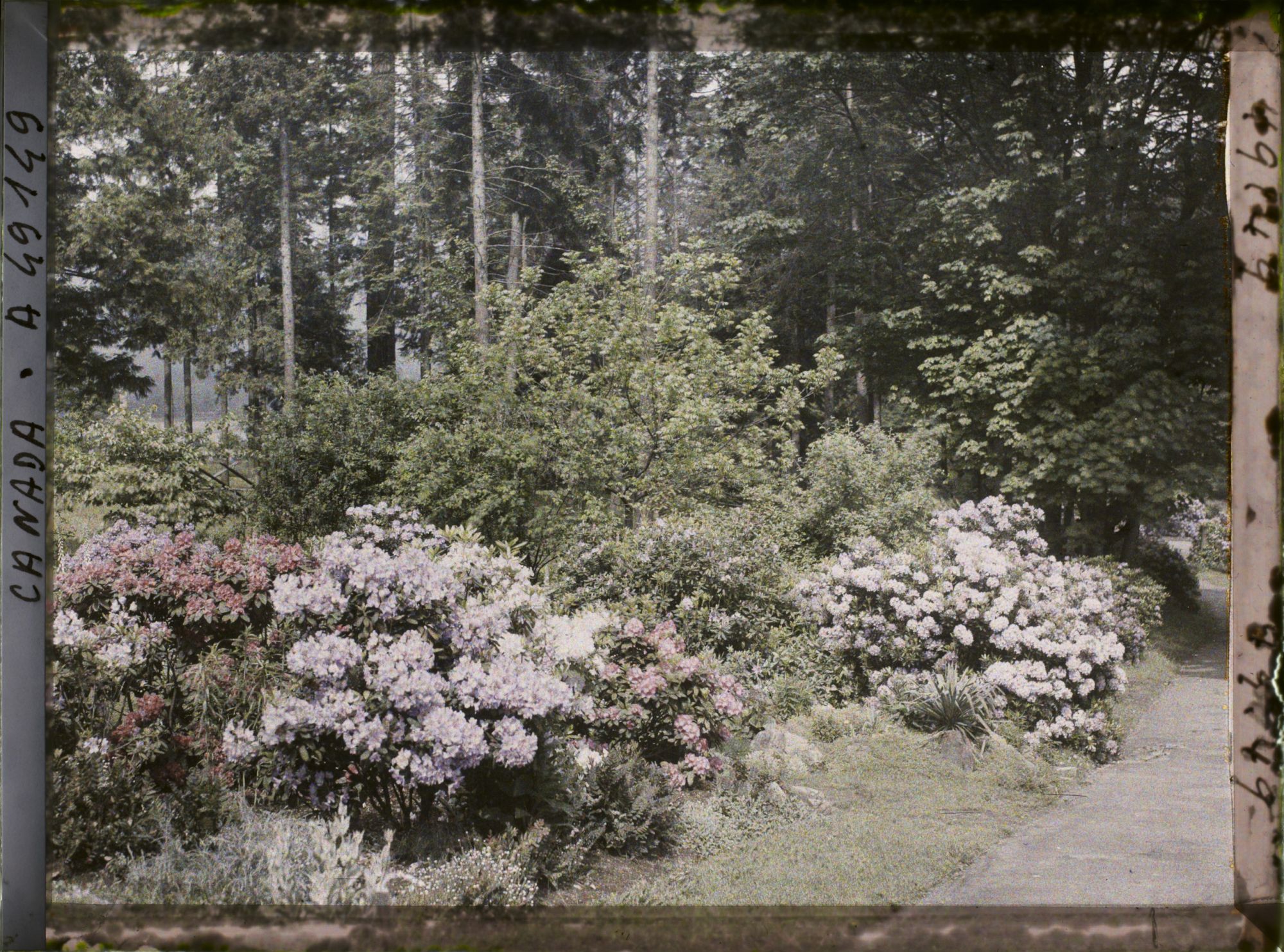 Image représentant Canada, Vancouver, Stanley Parc, Coin de Parc avec fleurs